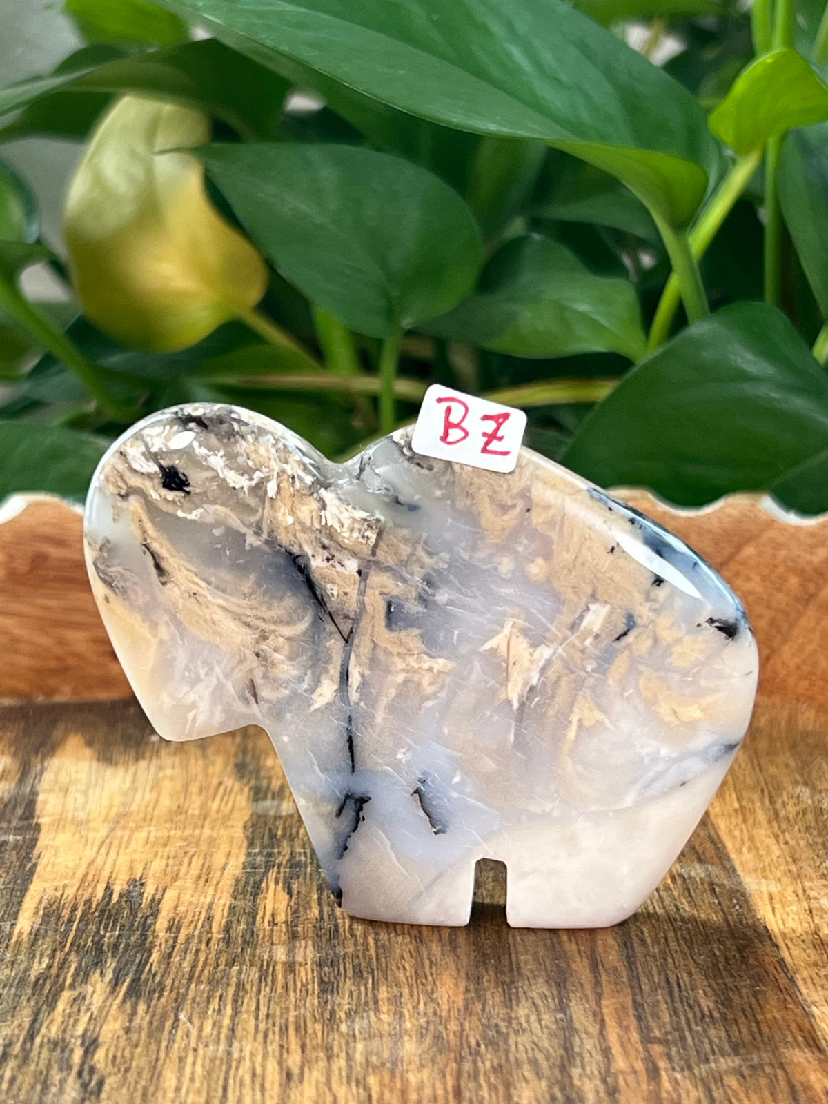 Dendritic Tiger Agate Buffalos