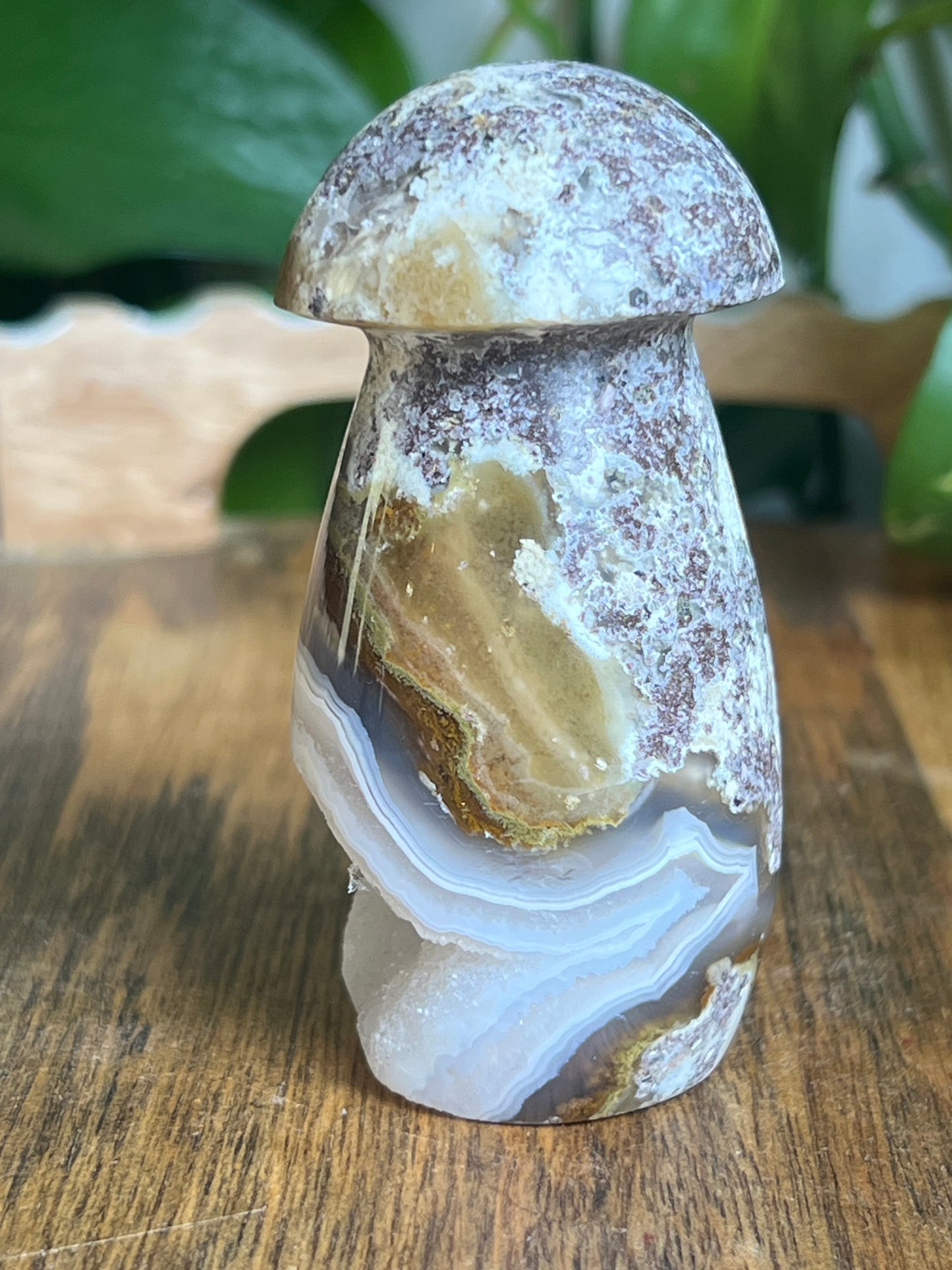 Scenic Moss Agate Mushroom