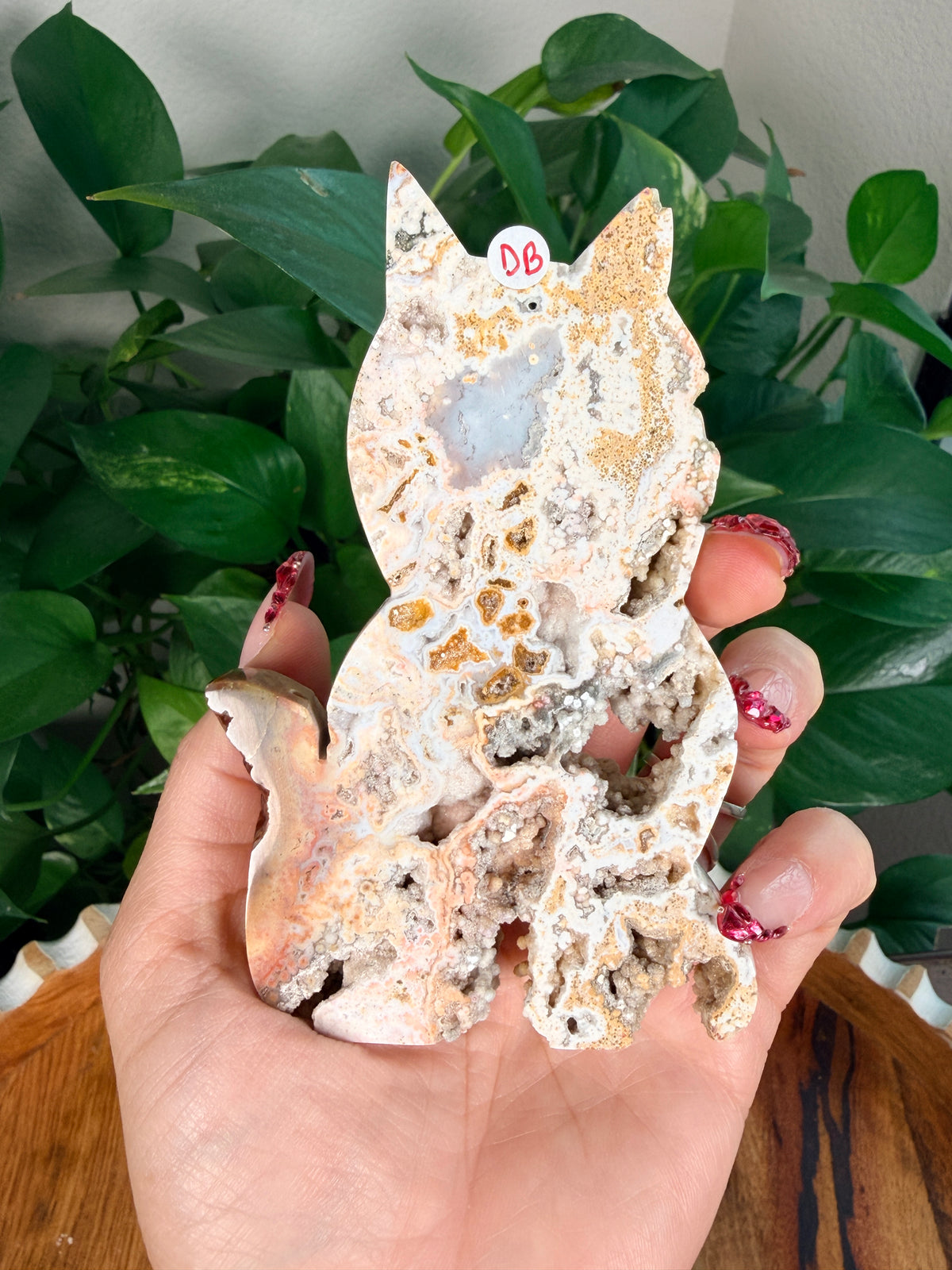 Sea Jasper Cats- Large