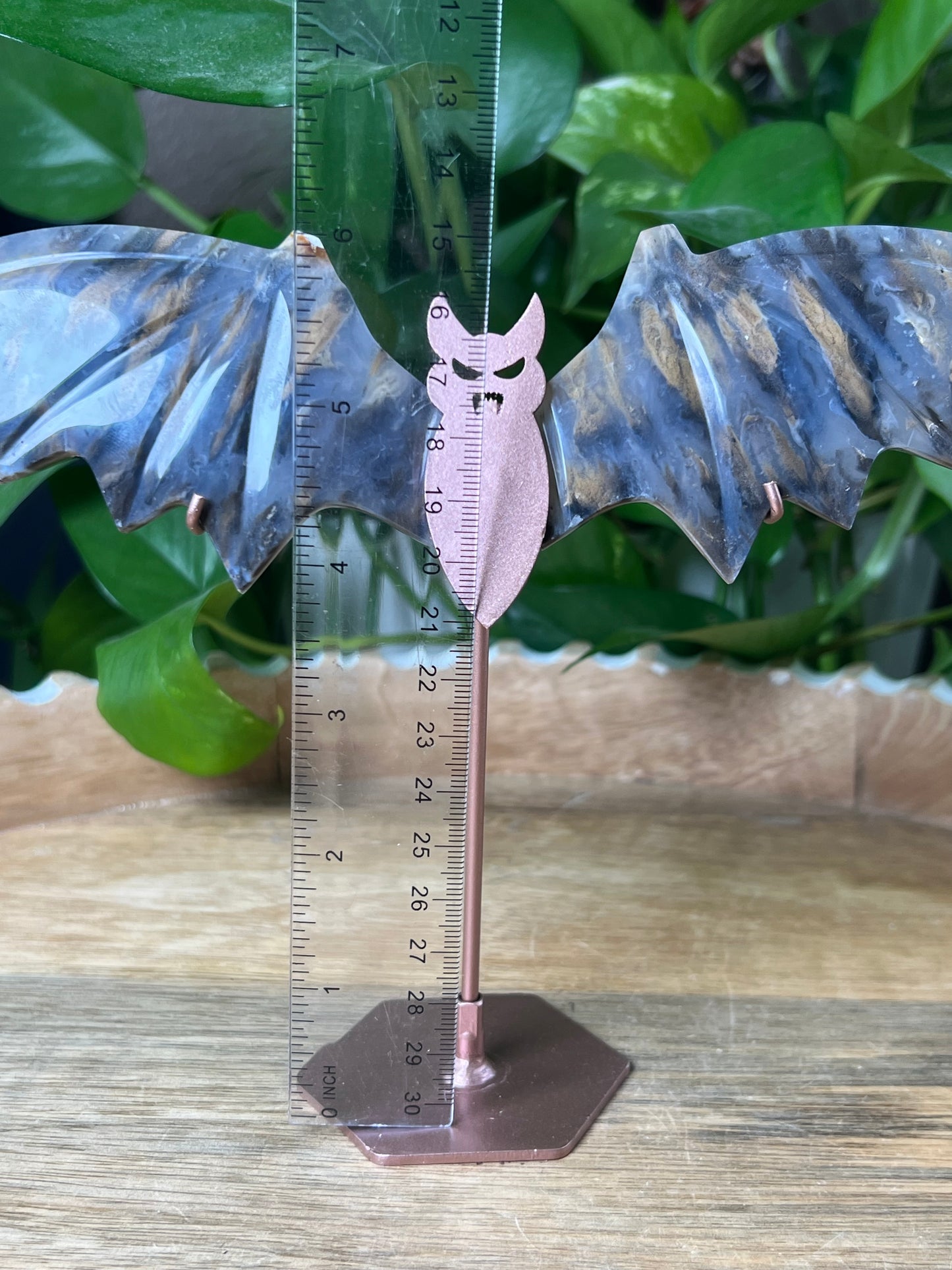 Dendritic Tiger Agate Bat Wings