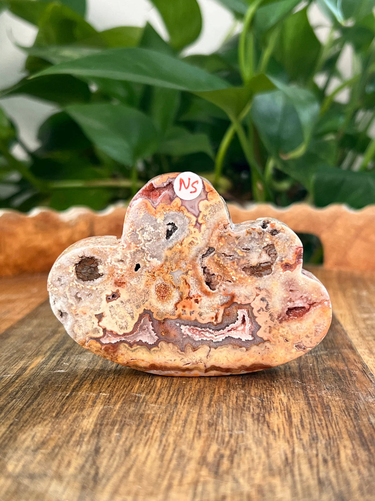 Crazy Lace Agate Self Standing Clouds