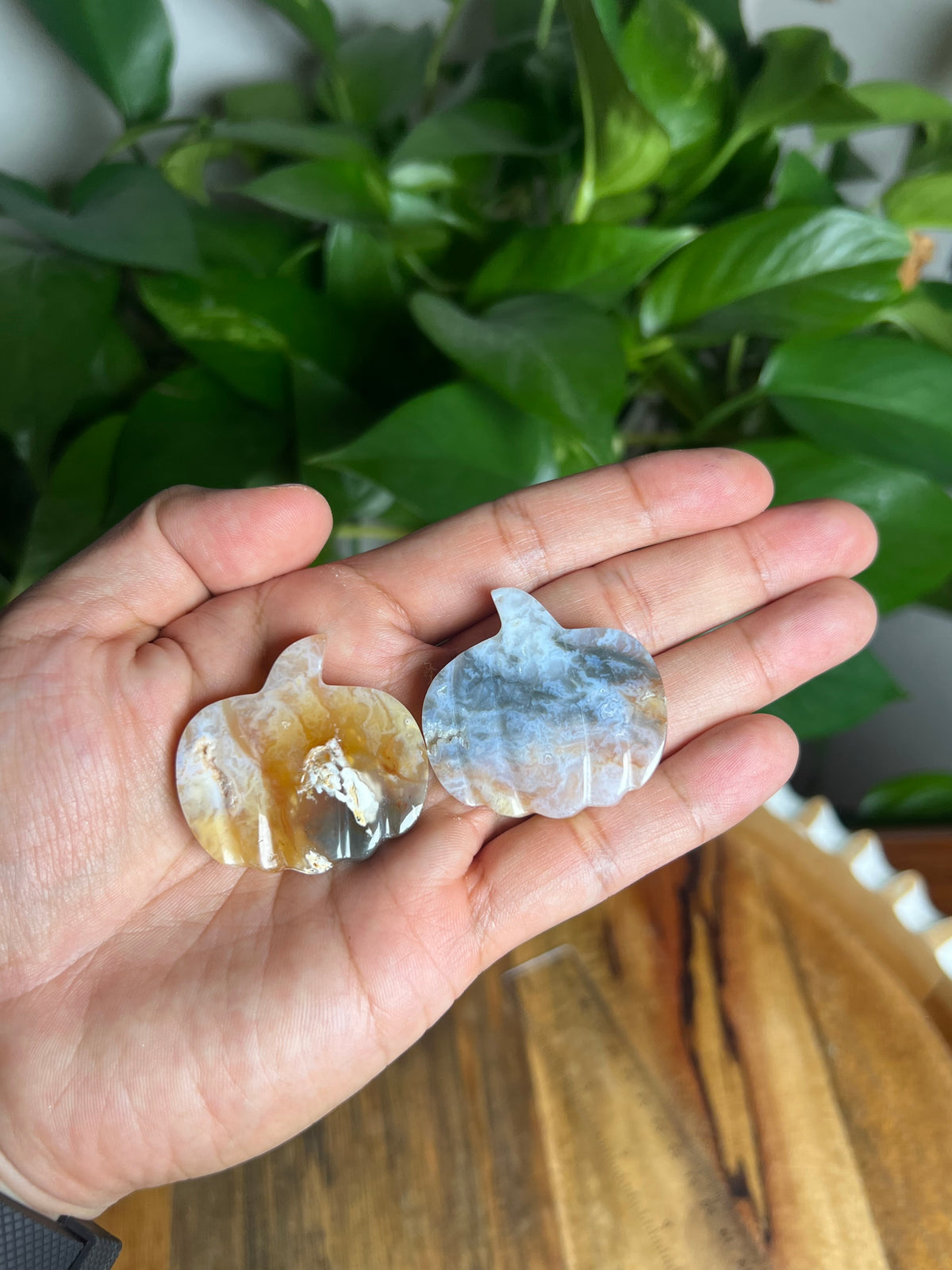 Rainbow Plume Agate Mini Pumpkin