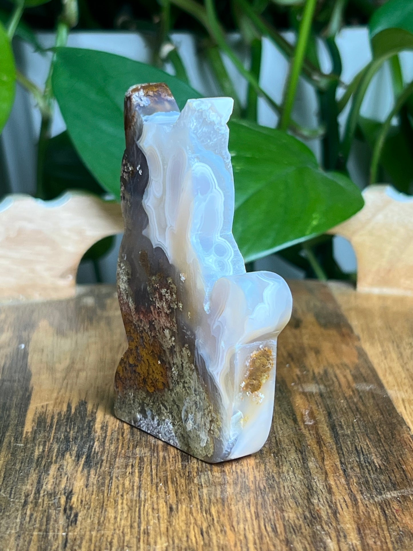 Scenic Moss Agate Cat: HX