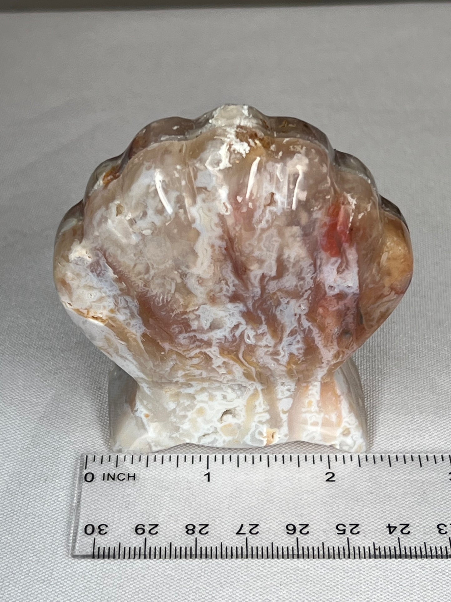 Rainbow Plume Agate Shell