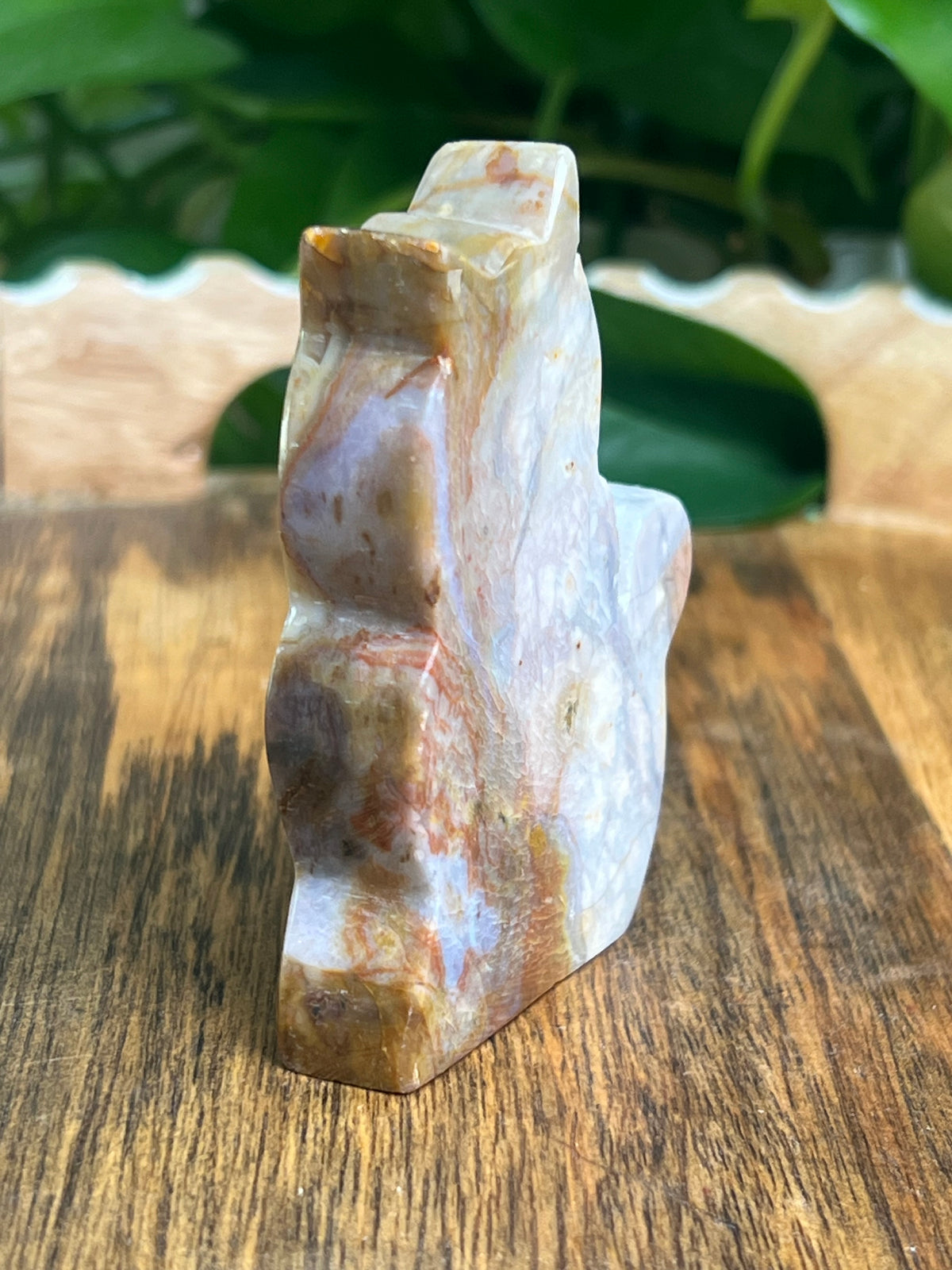 River Jasper Cat: PE