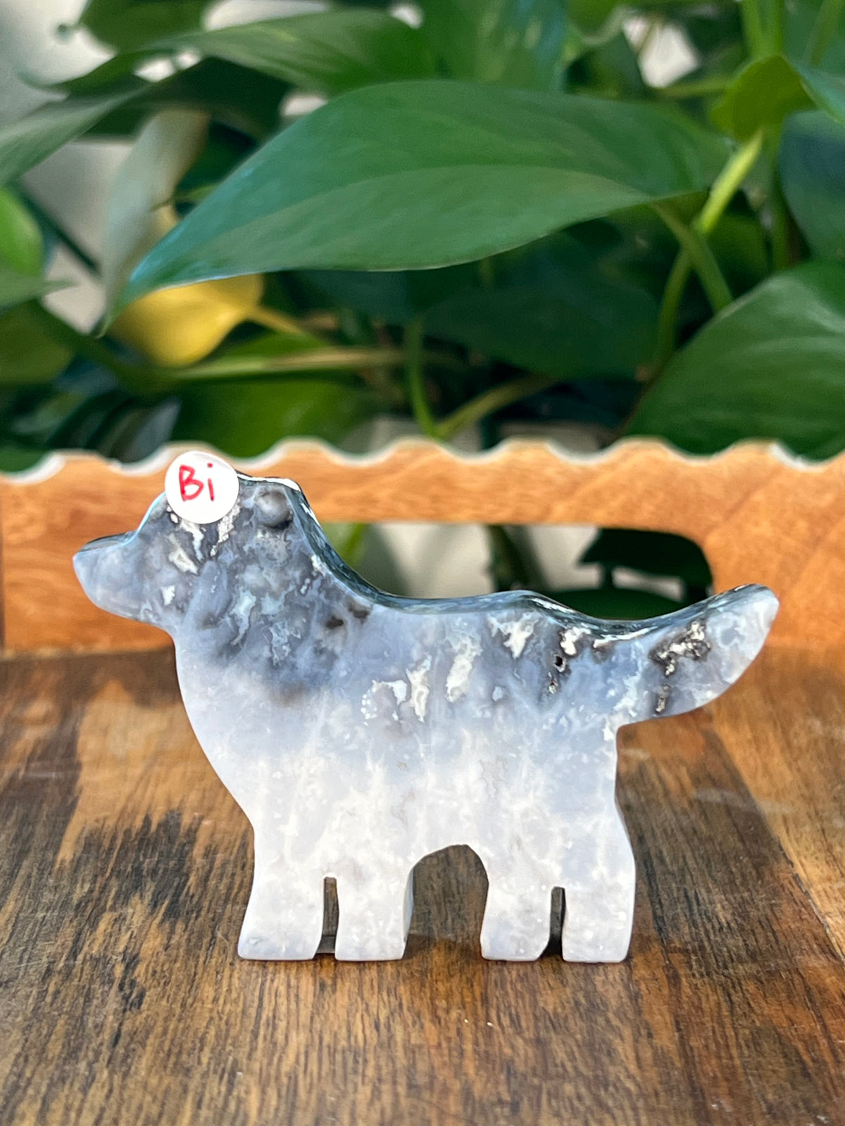 Blue Plume Agate Dogs
