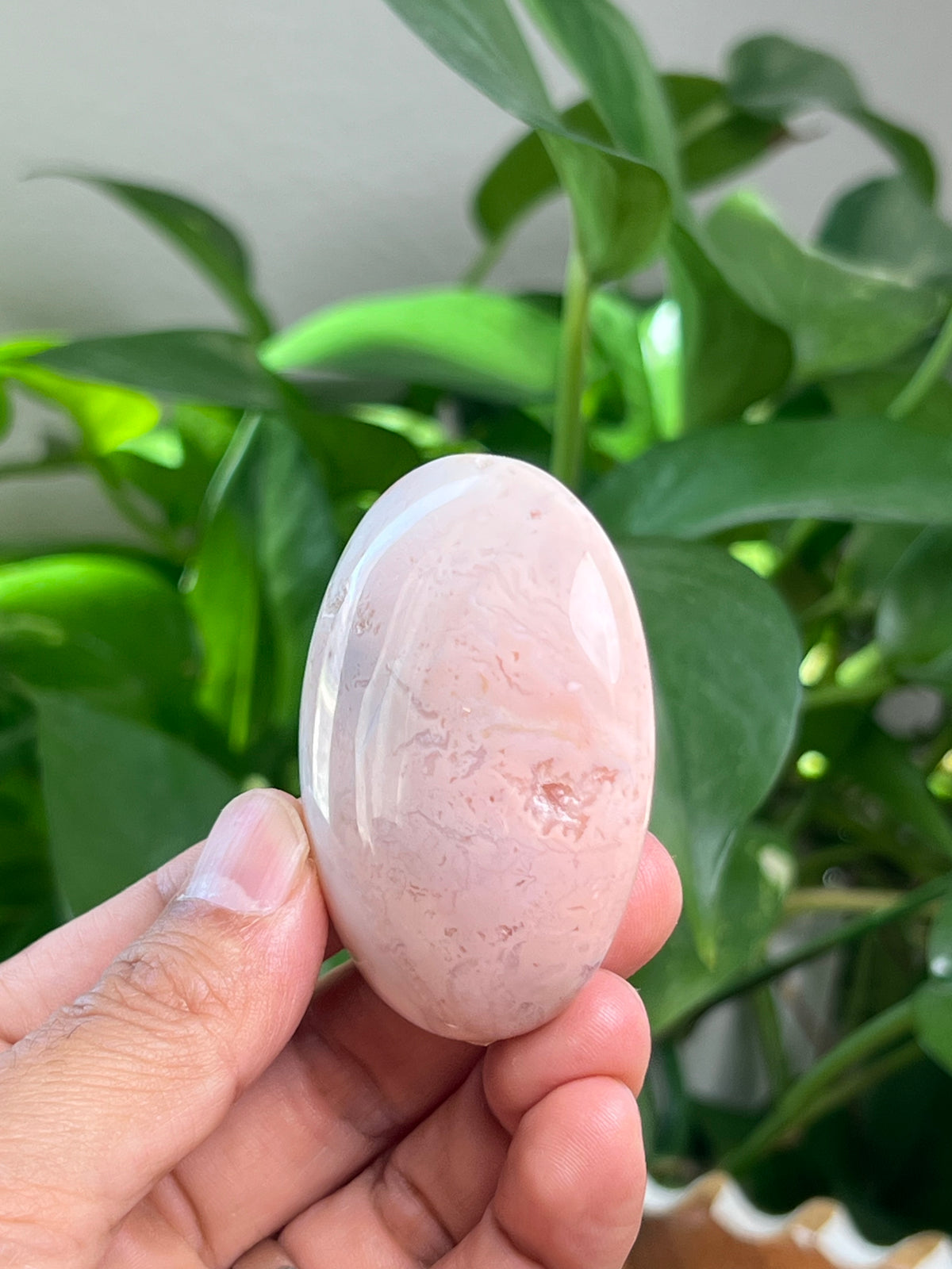 Pink Carnelian Palmstone: BJ