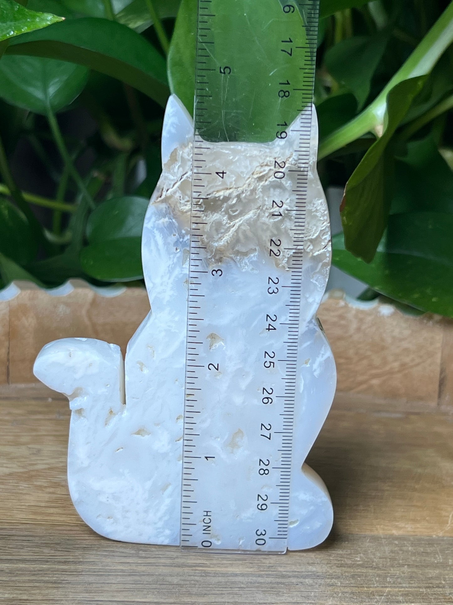 White Plume Agate Cat