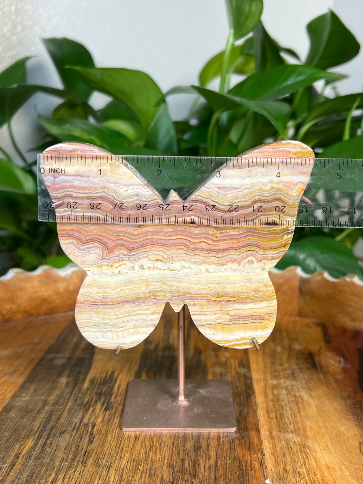 Crazy Lace Agate Butterflies
