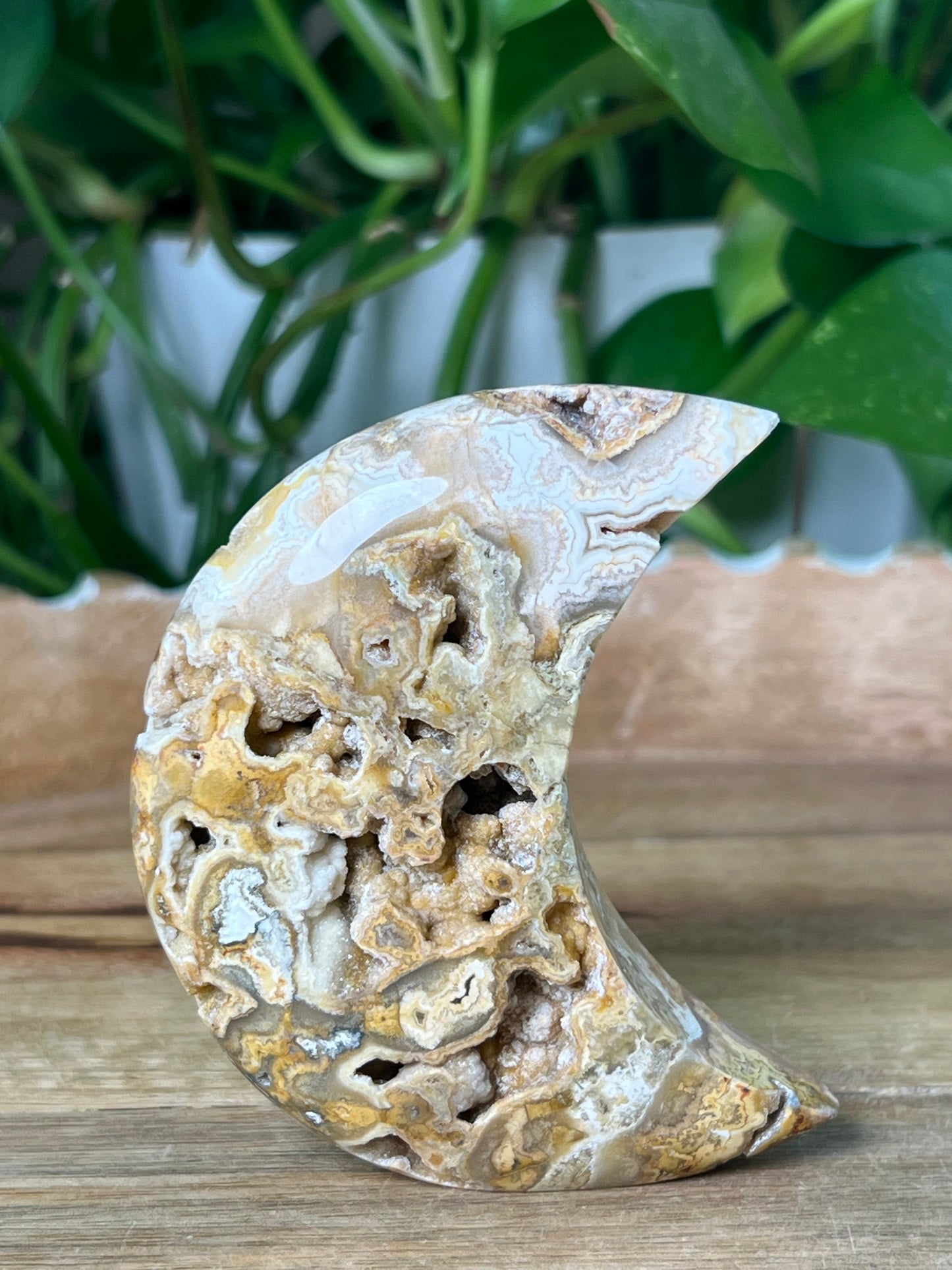 Crazy Lace Agate Moon