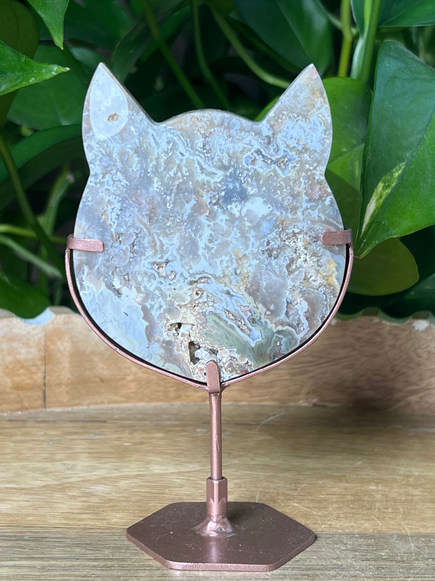 Sumatra Plume Agate Cat Head