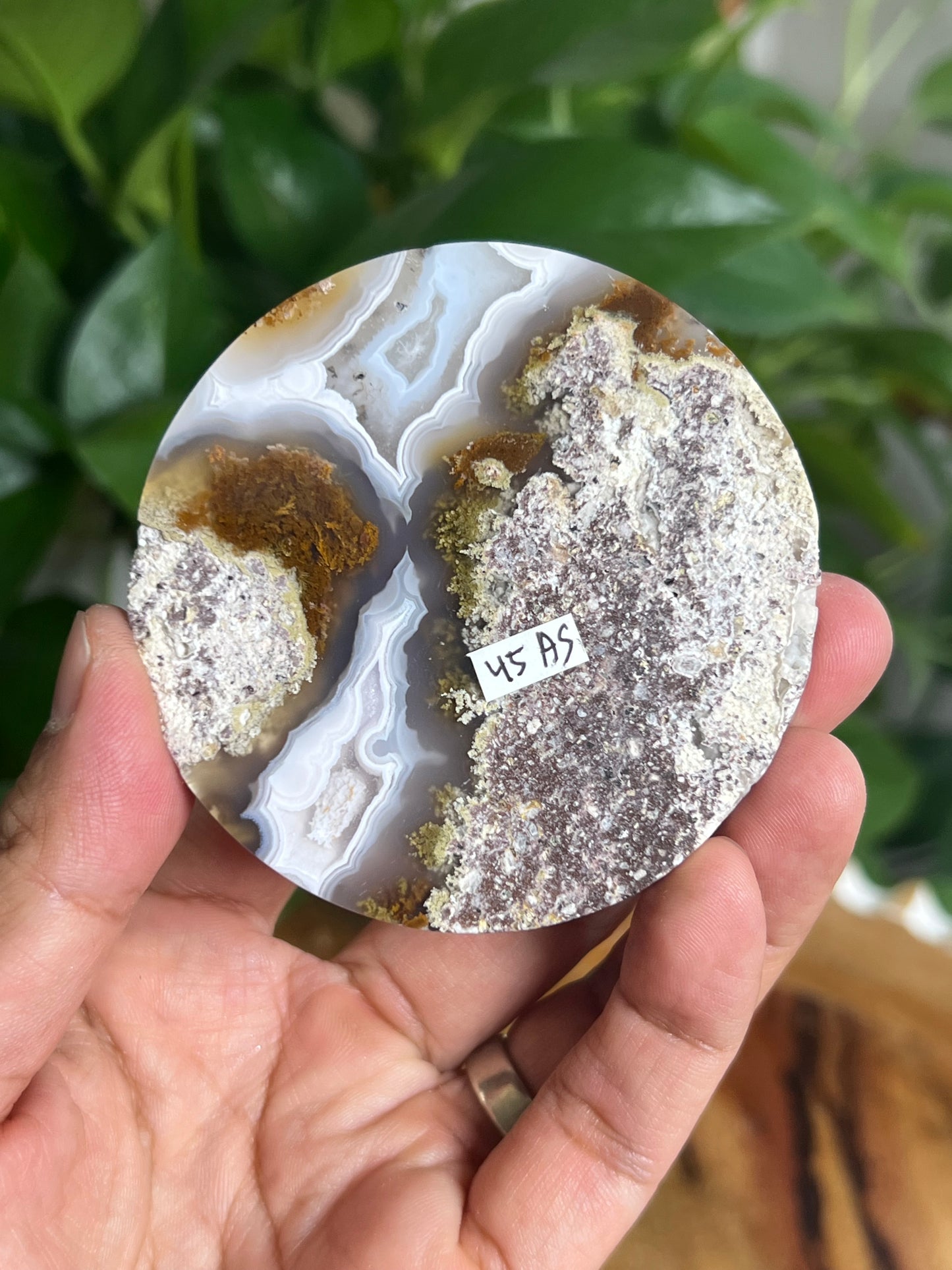 Scenic Moss Agate Coaster: AS