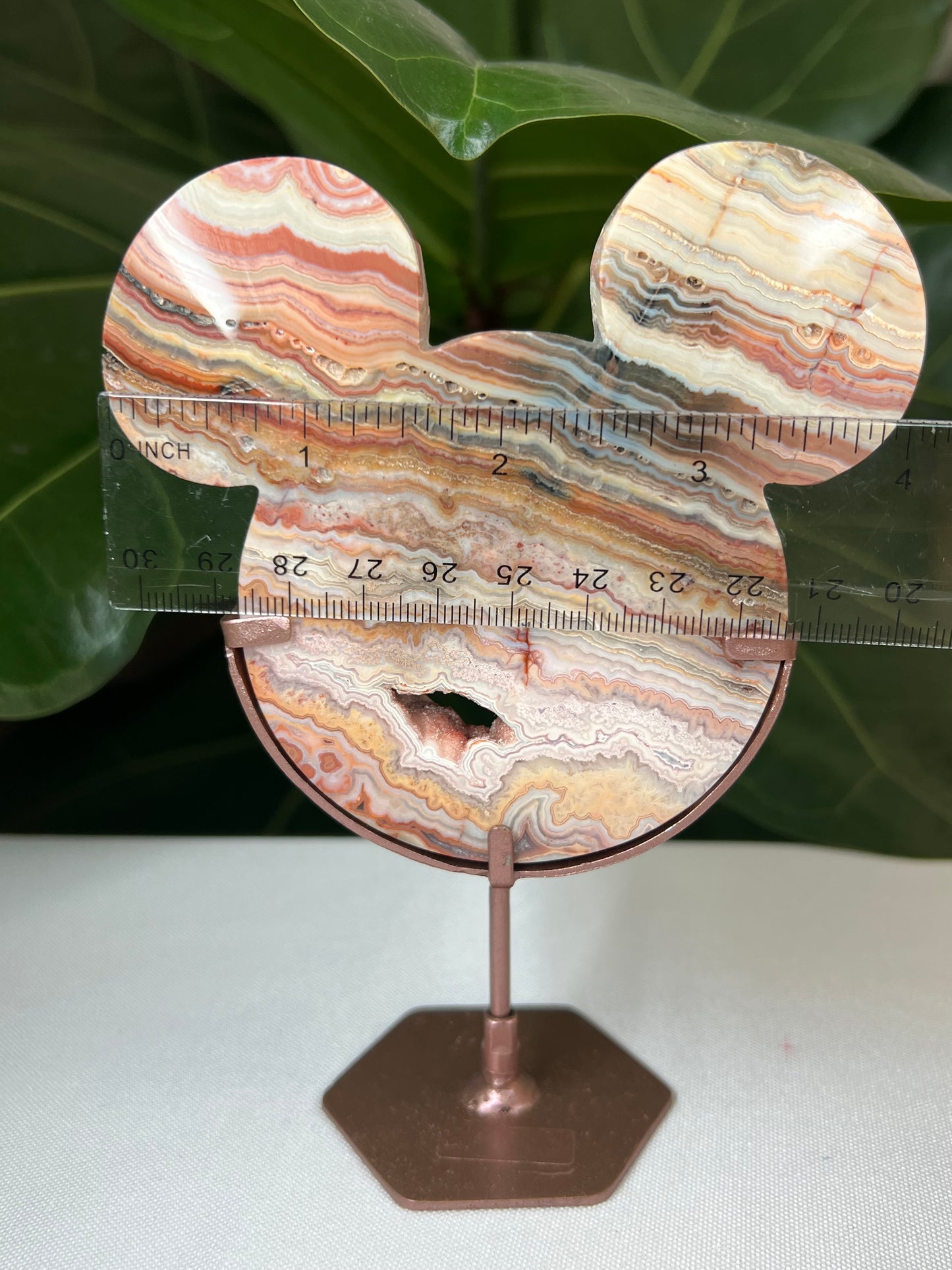 Crazy Lace Agate Bear Head