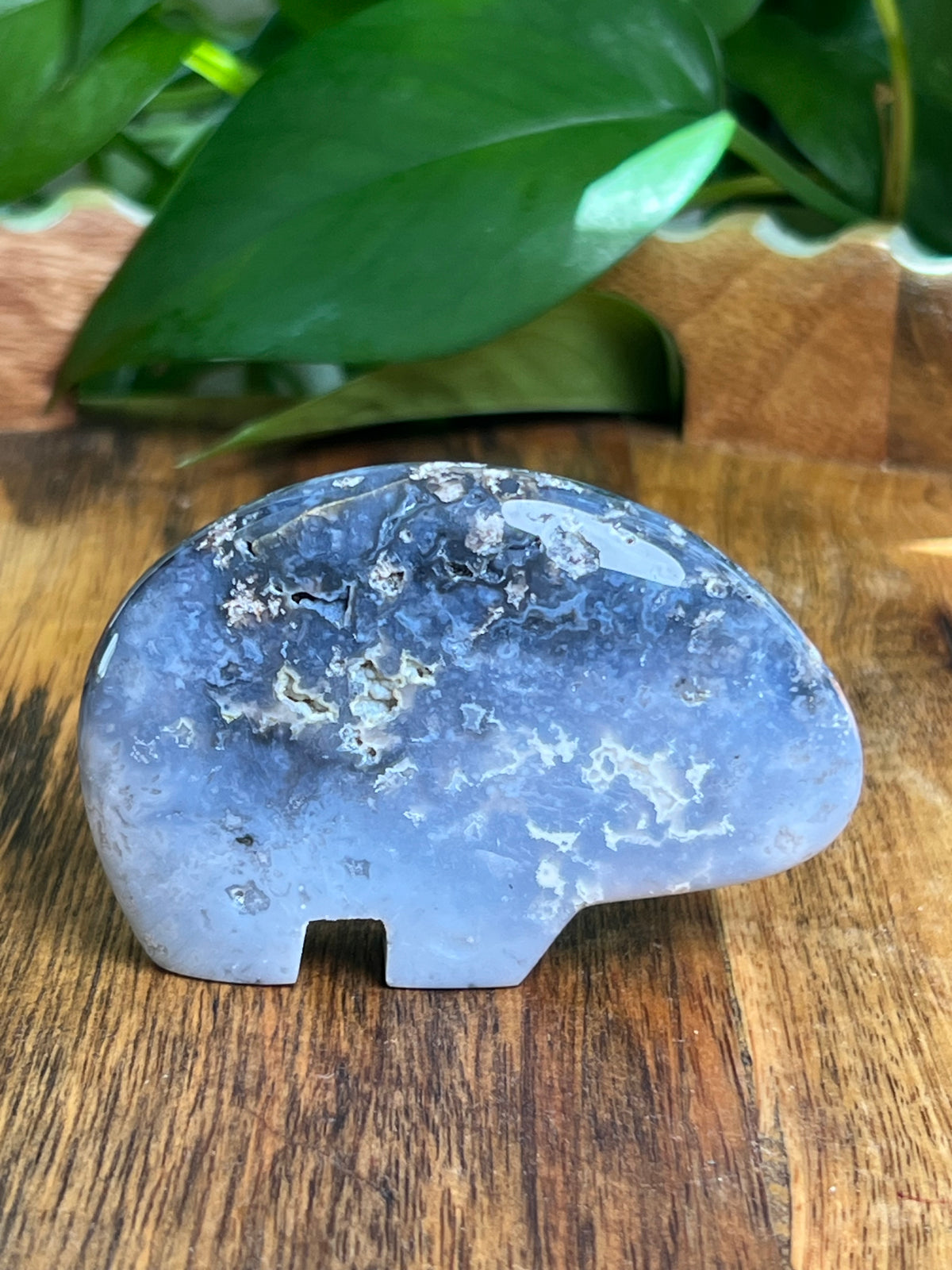 Blue Plume Agate Bear: DS