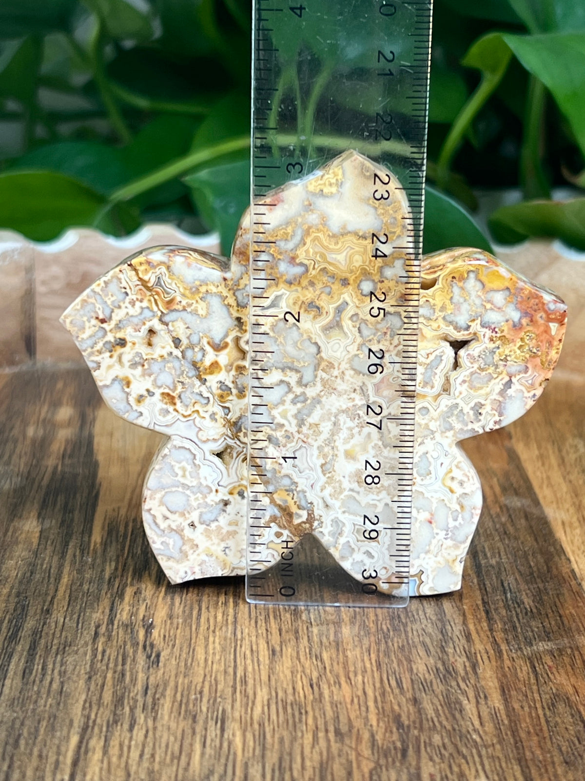 Crazy Lace Agate Flower: Ci