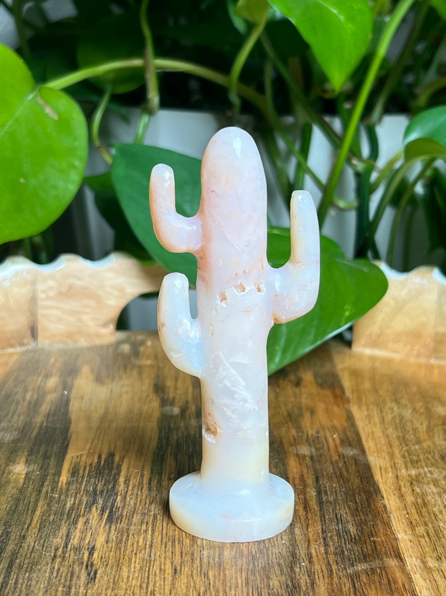 Pink Carnelian Cactus: BA
