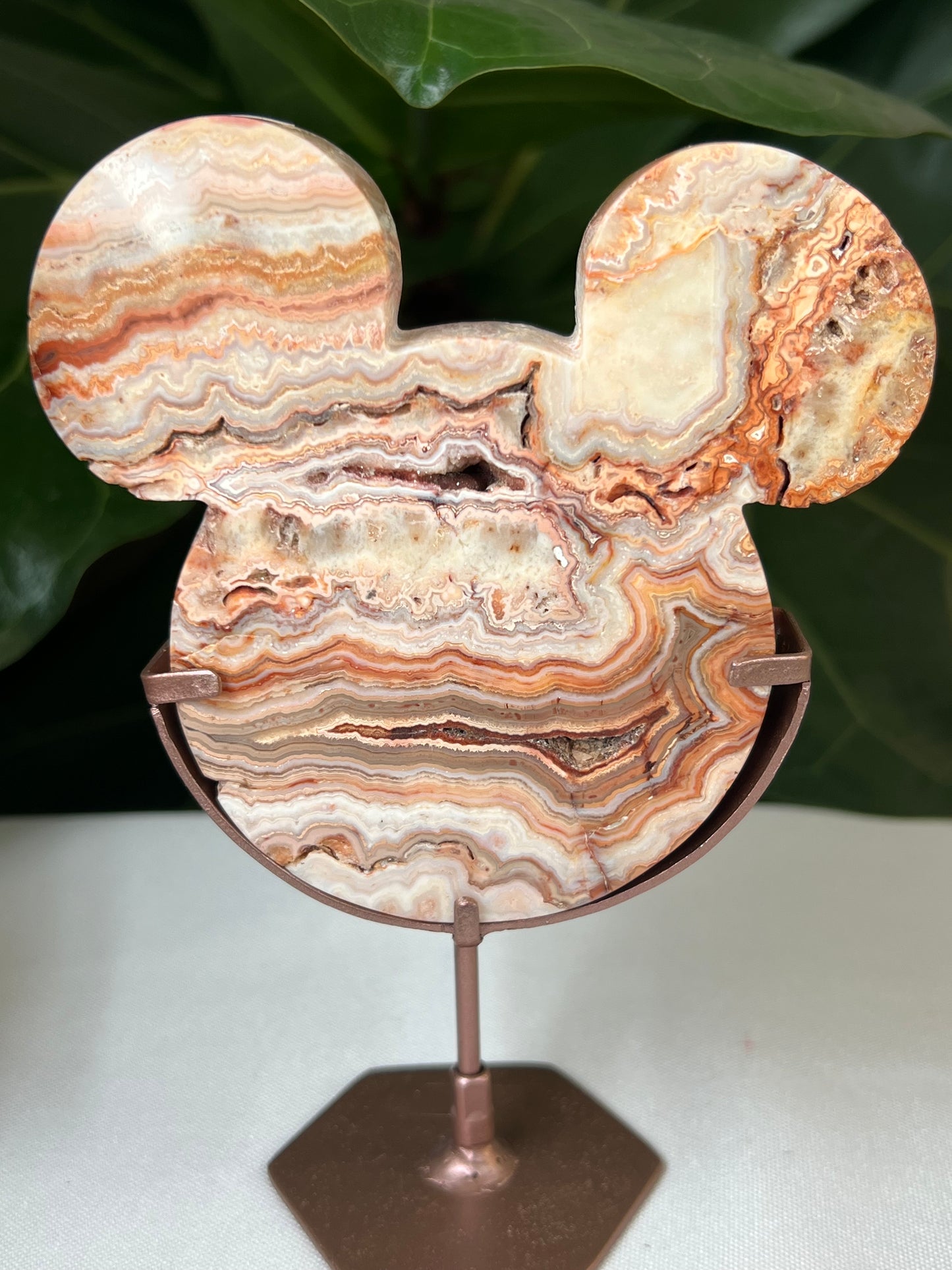Crazy Lace Agate Bear Head