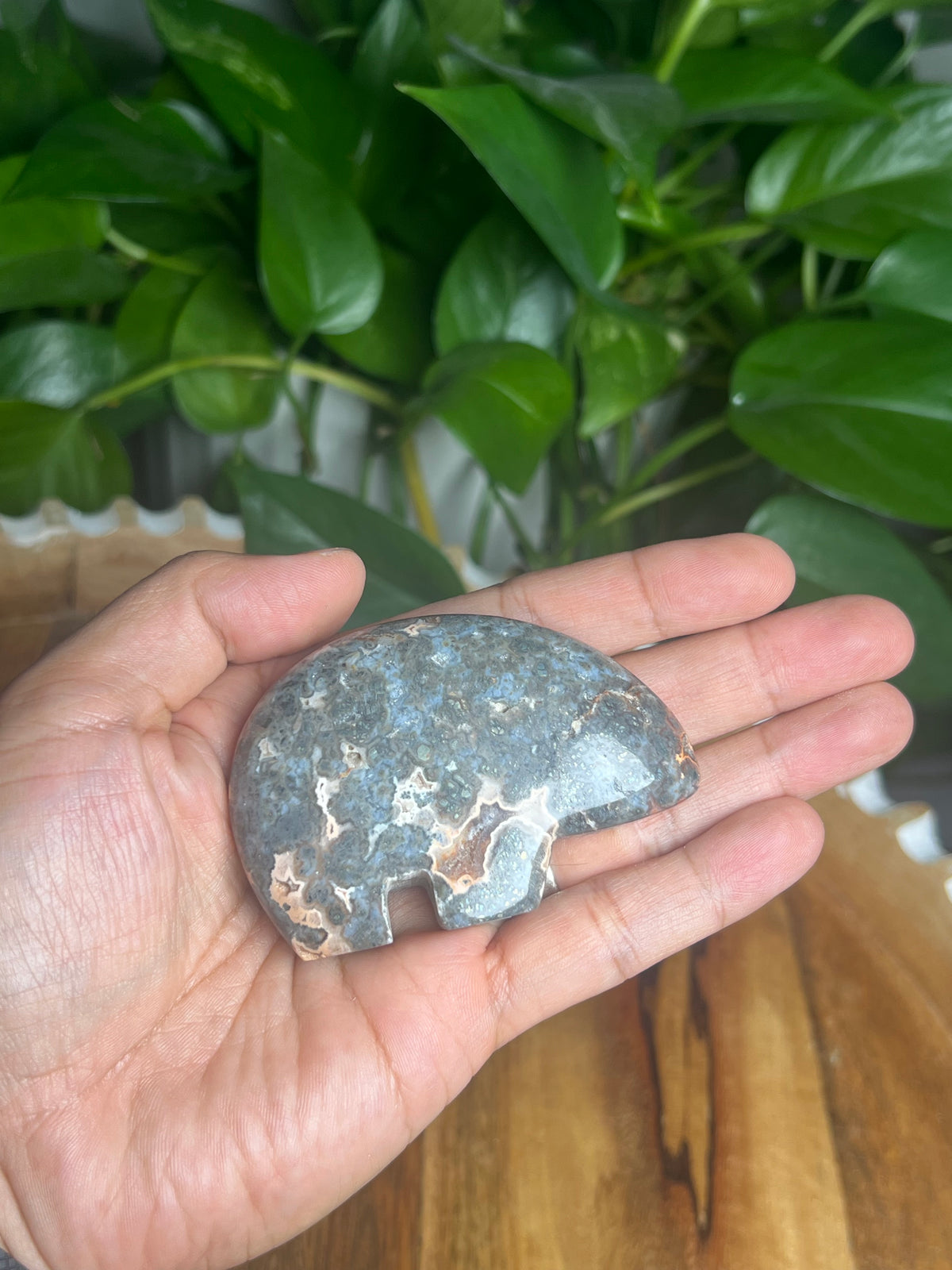 Marcasite Bear: TX