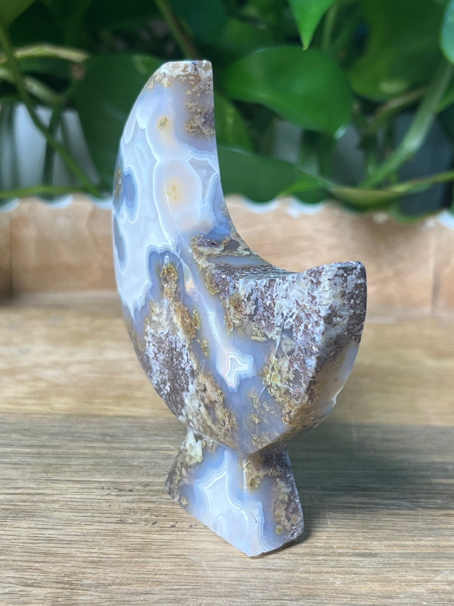 Scenic Moss Agate Moon Stand: NN