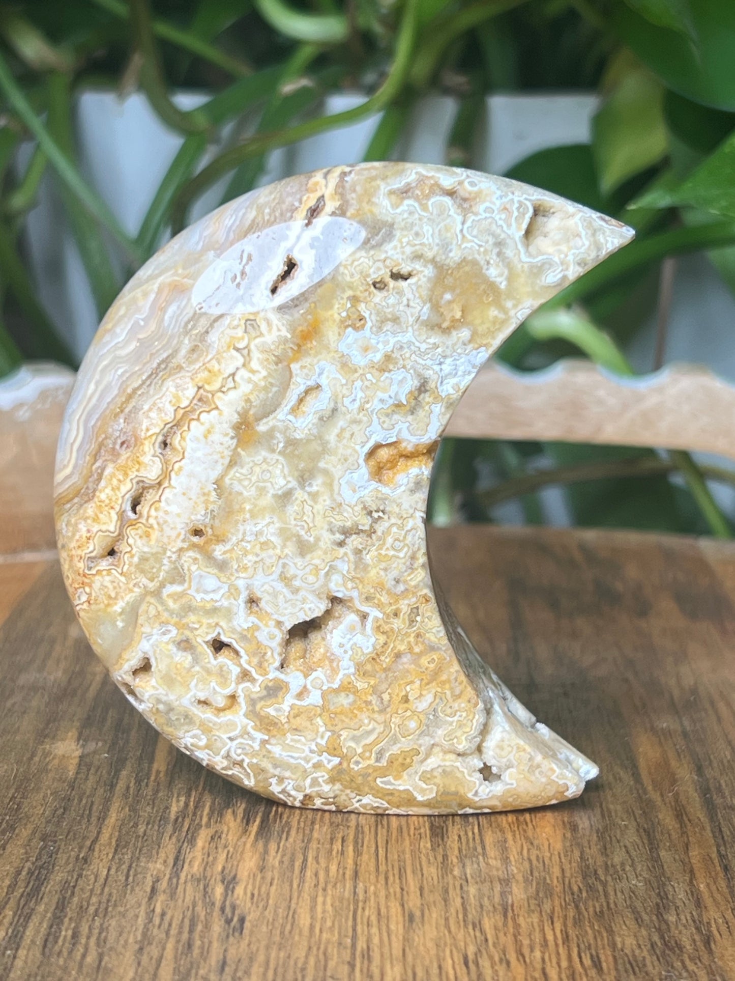 Yellow Crazy Lace Agate Moon