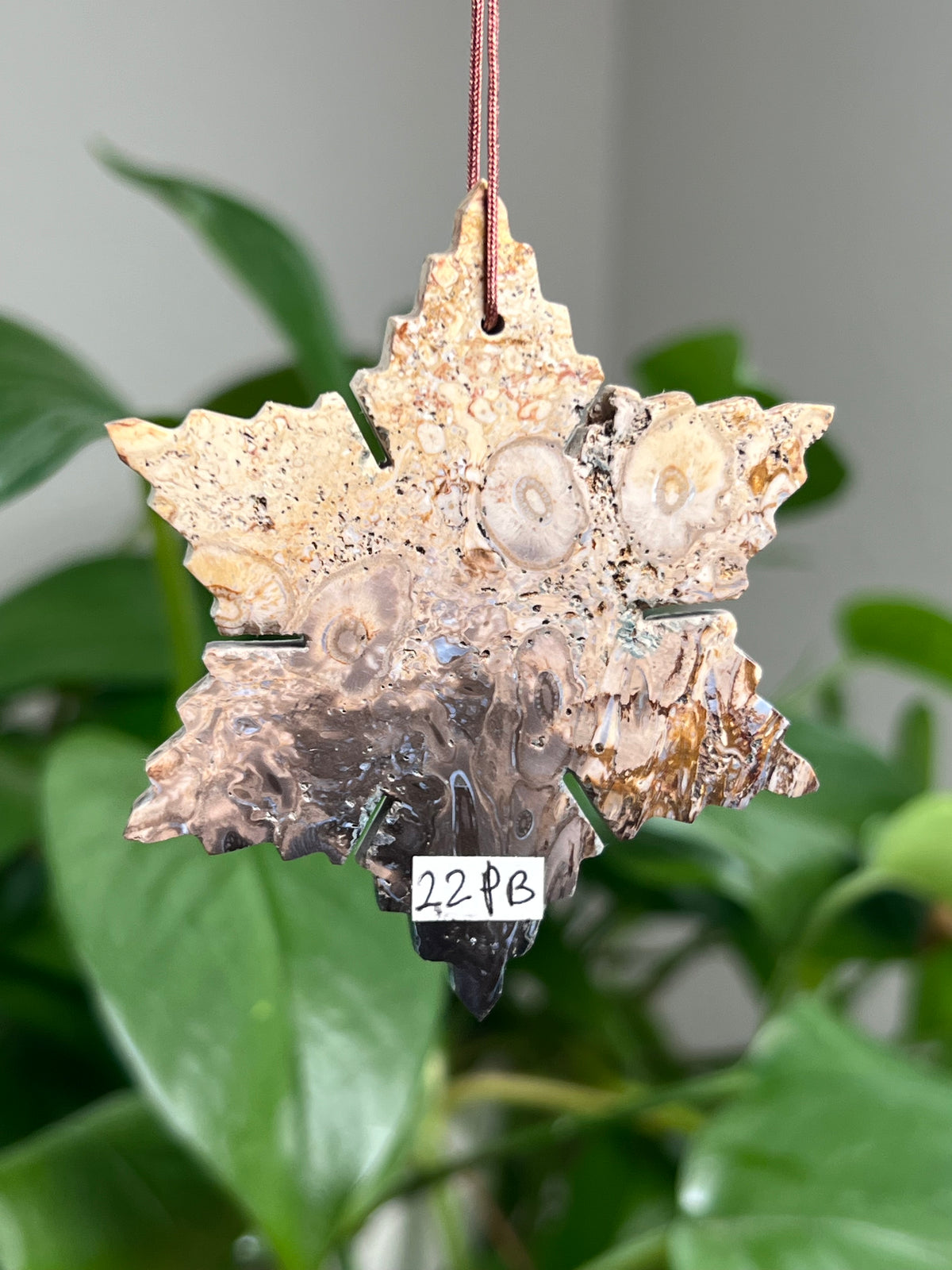 Palm Root Ornament Snowflake: PB