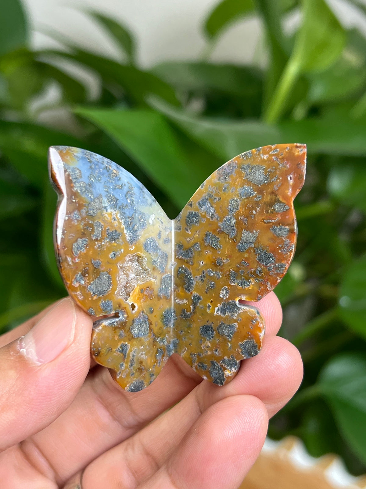 Marcasite 3D Butterfly: ME