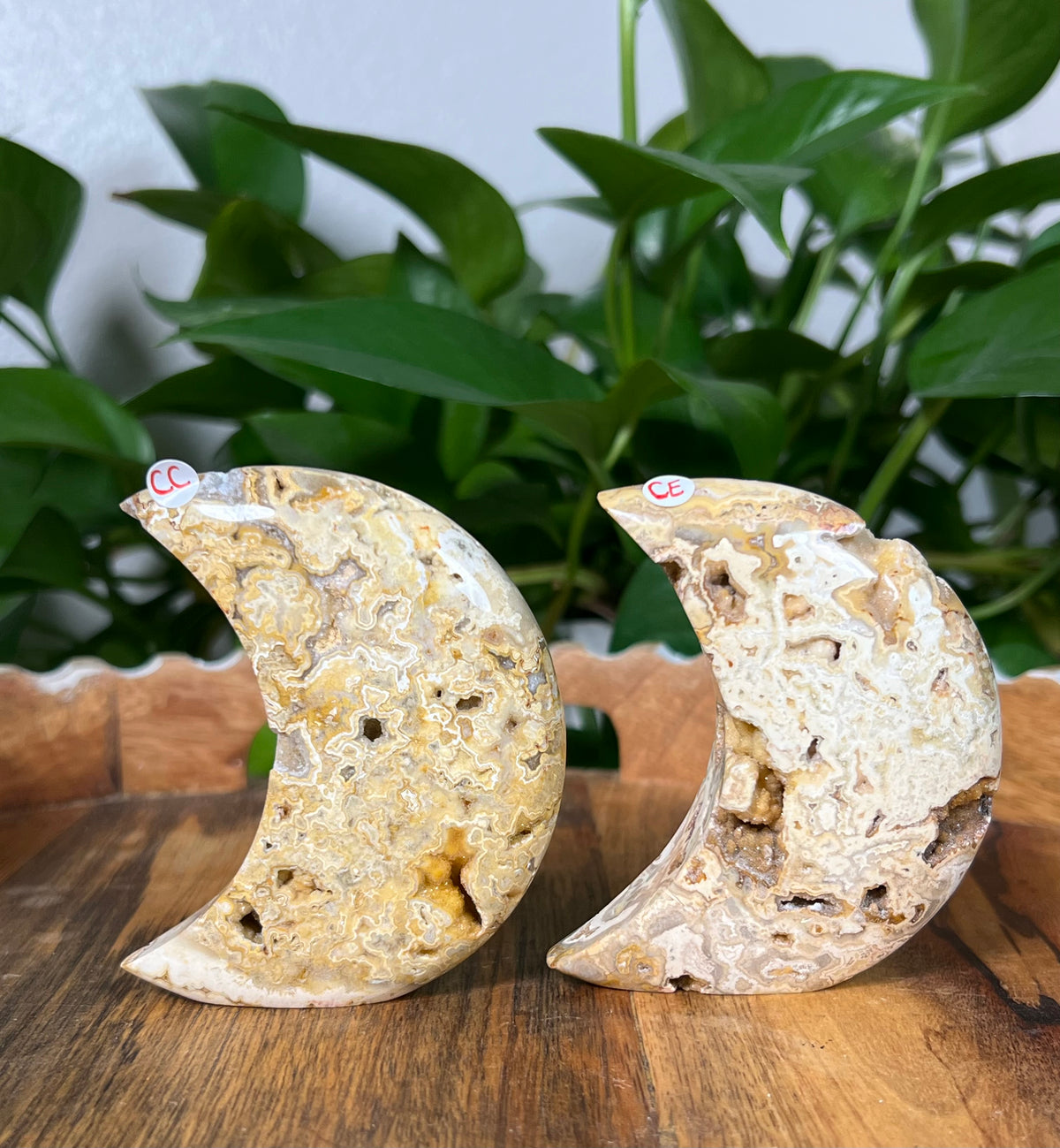 Yellow Crazy Lace Agate Self Standing Moons