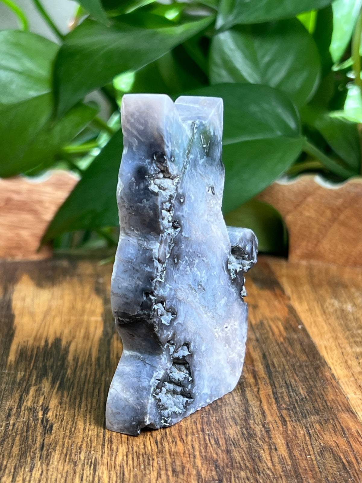 Blue Plume Agate Cat: BE