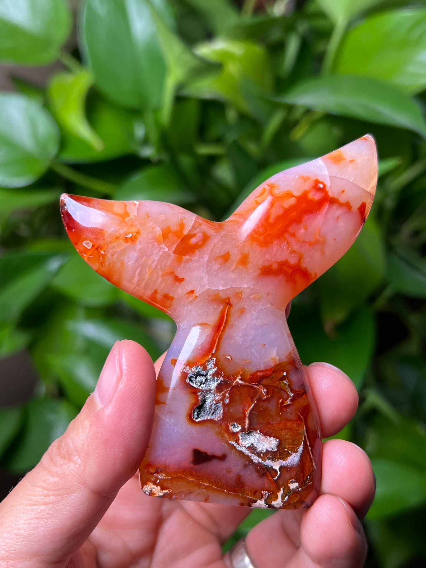 Red Carnelian Tail