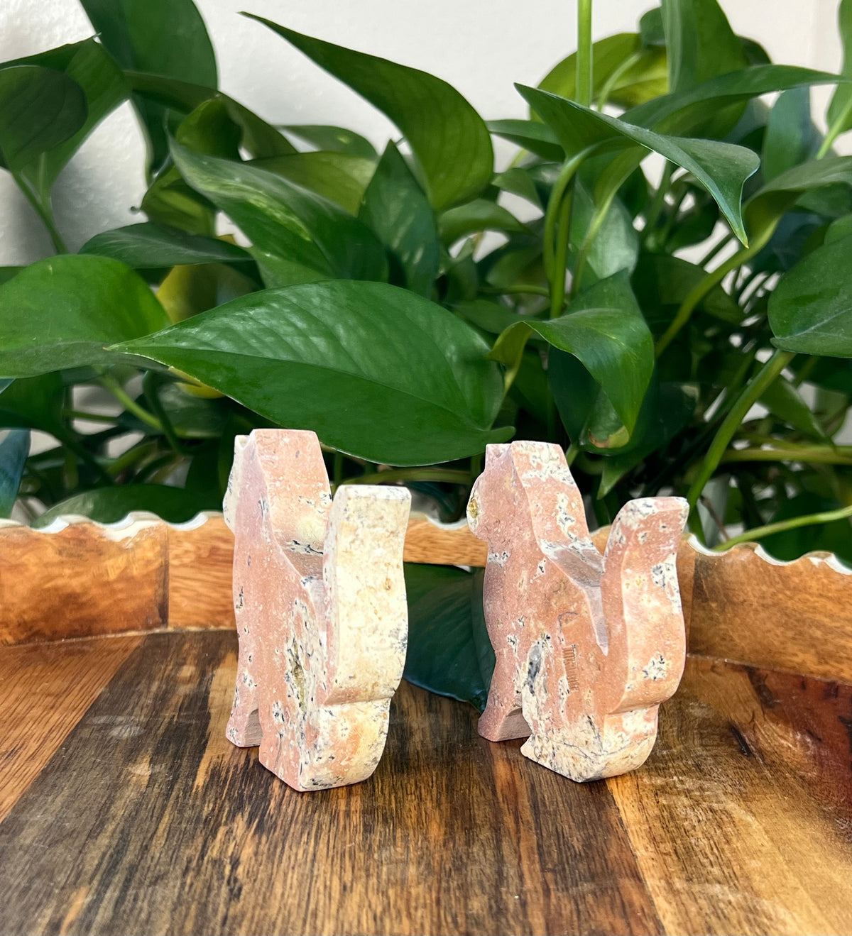 Peachy Pink Dendritic Jasper Cats