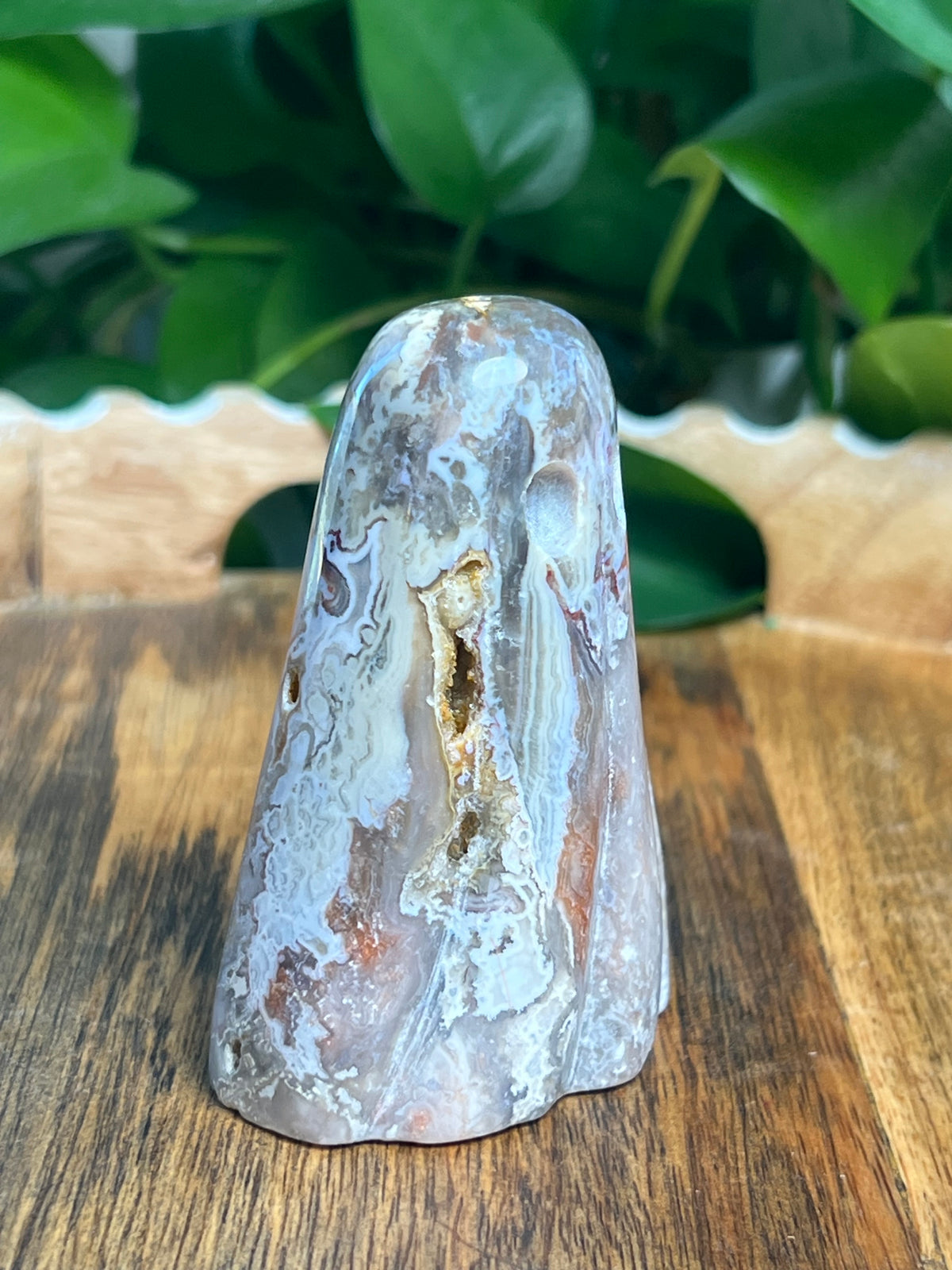 Sumatra Plume Agate Ghost: Y