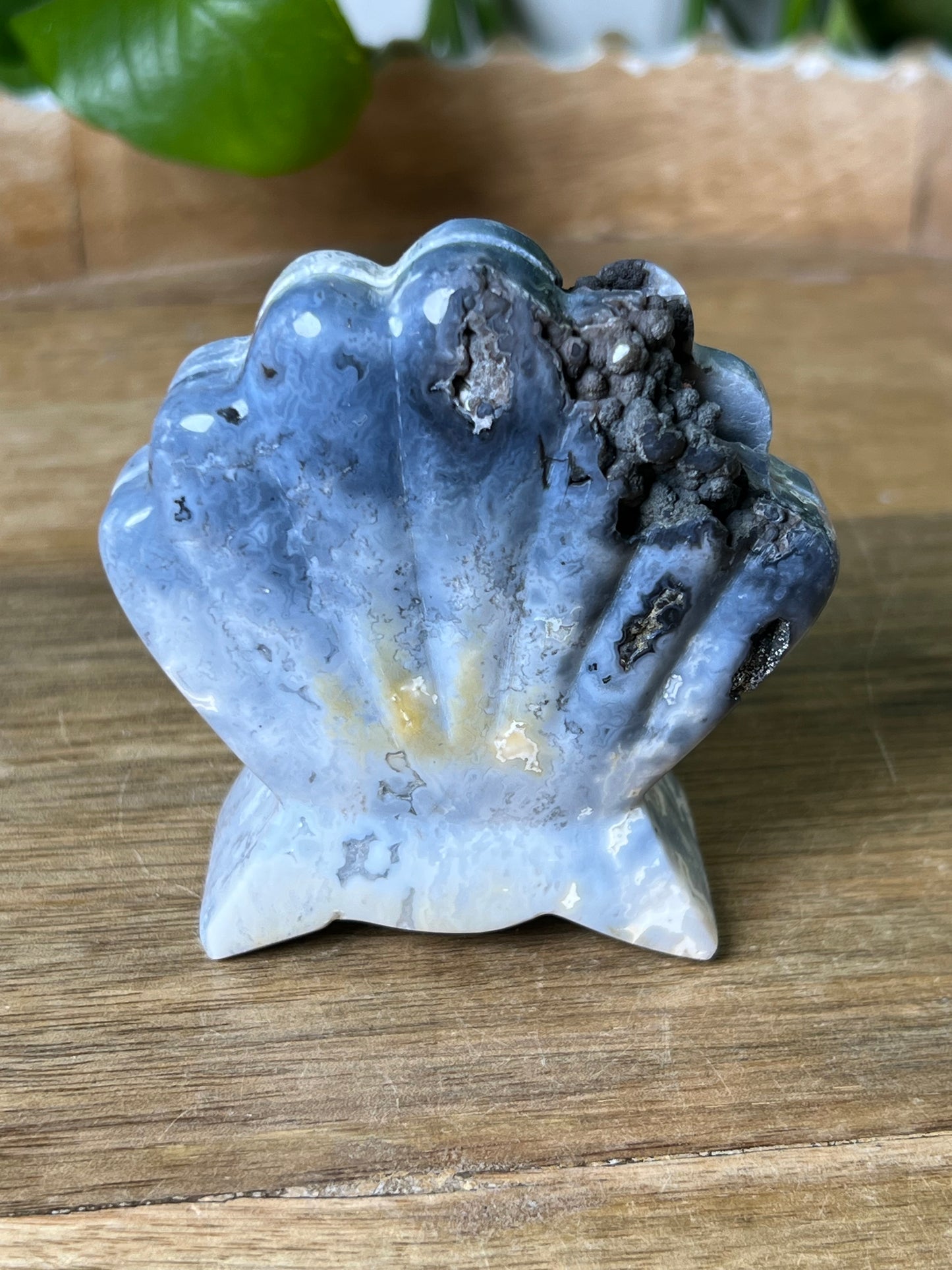 Blue Plume Agate Shell