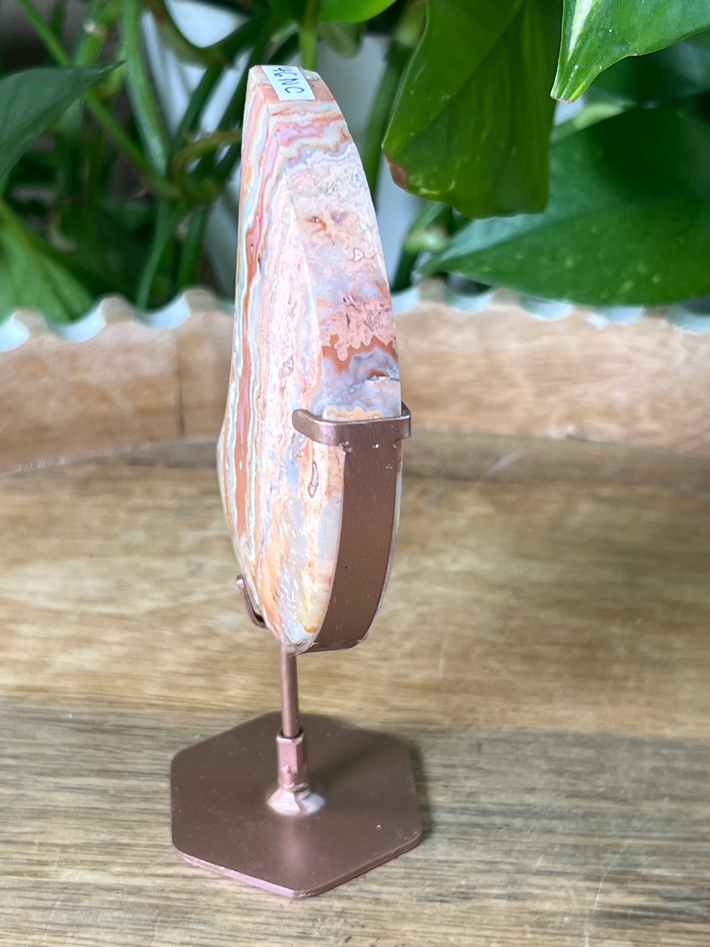 Crazy Lace Agate Moon