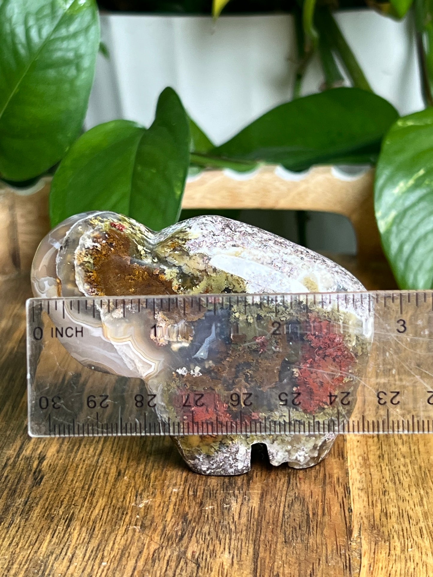 Scenic Moss Agate Buffalo ME