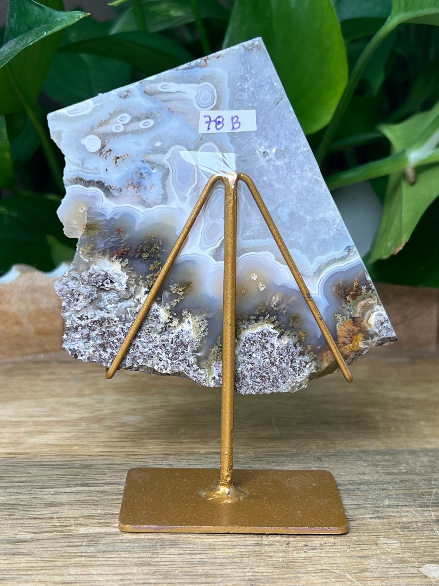 Scenic Moss Agate Slab