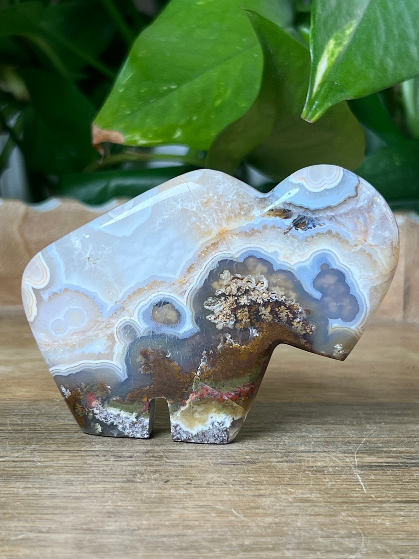 Scenic Moss Agate Buffalo