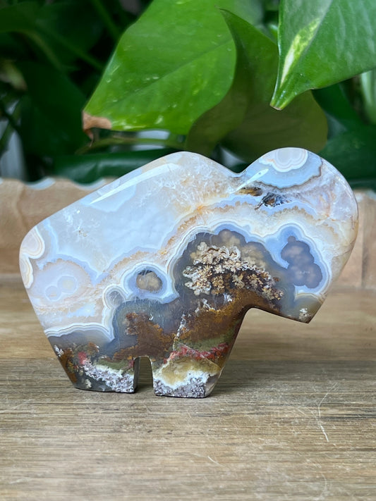 Scenic Moss Agate Buffalo