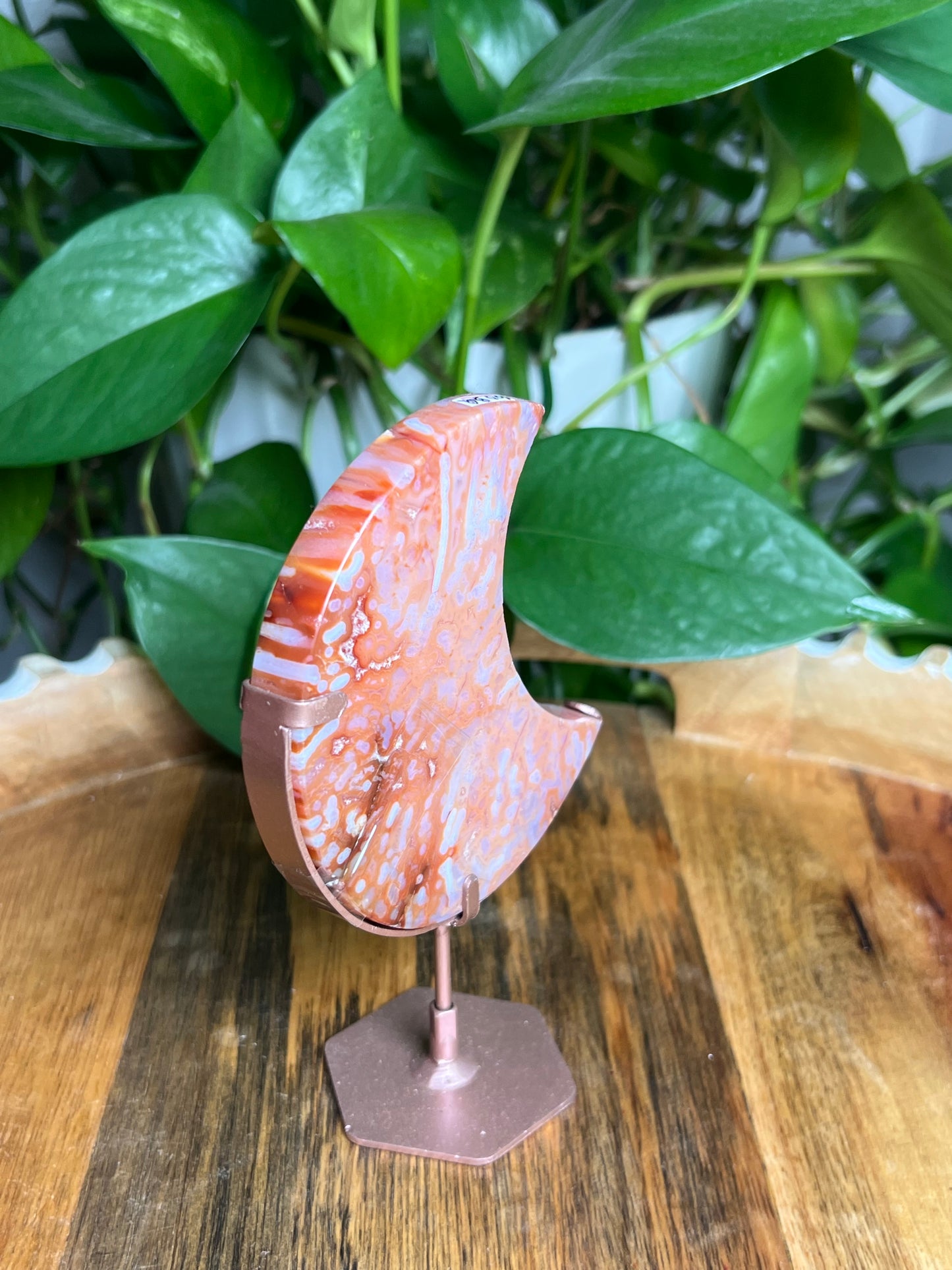 Carnelian Moon: BQ