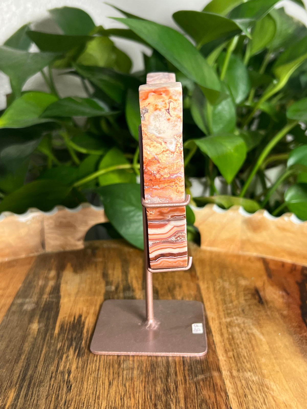 Crazy Lace Agate Butterfly: F
