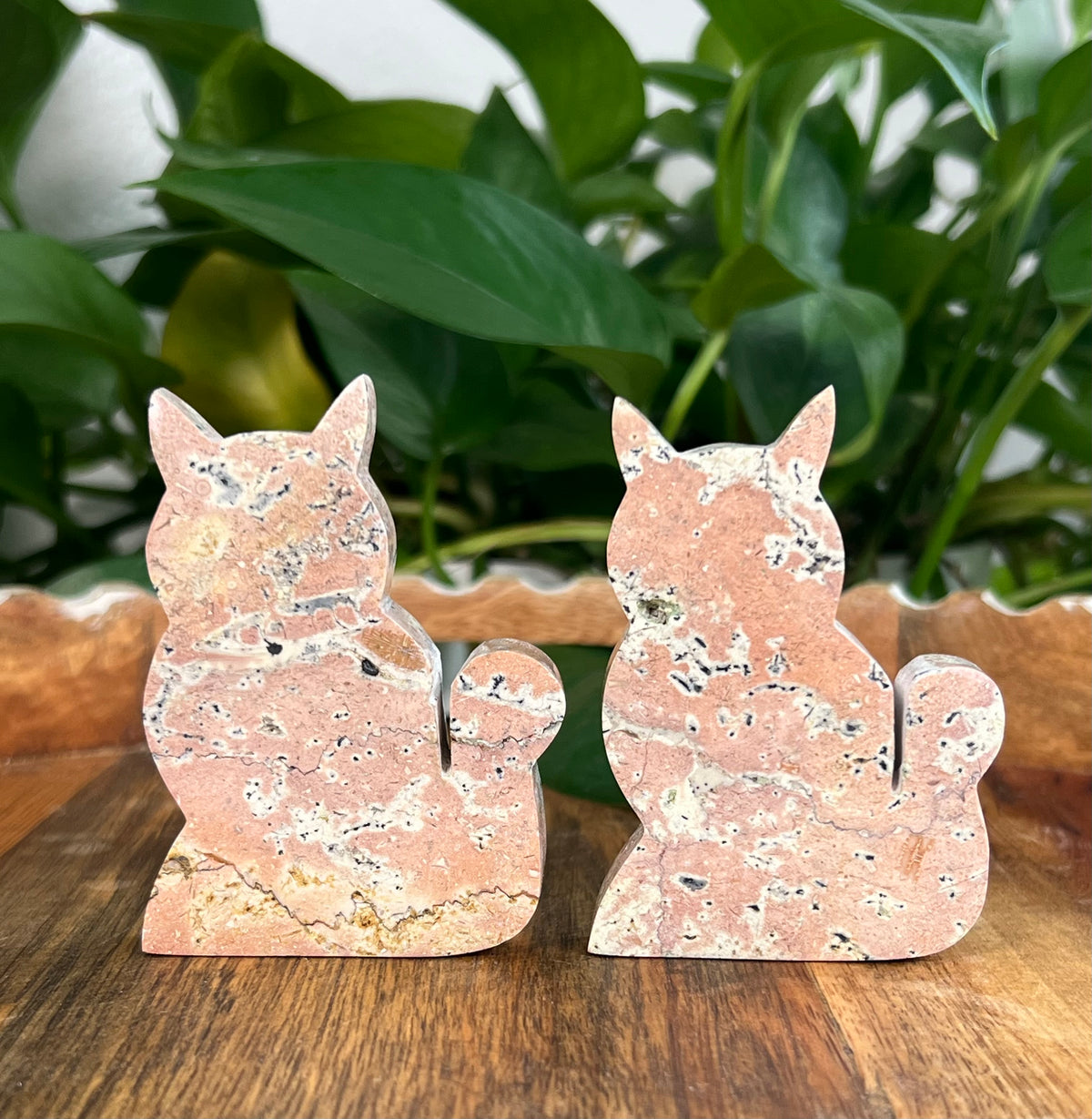 Peachy Pink Jasper Cats