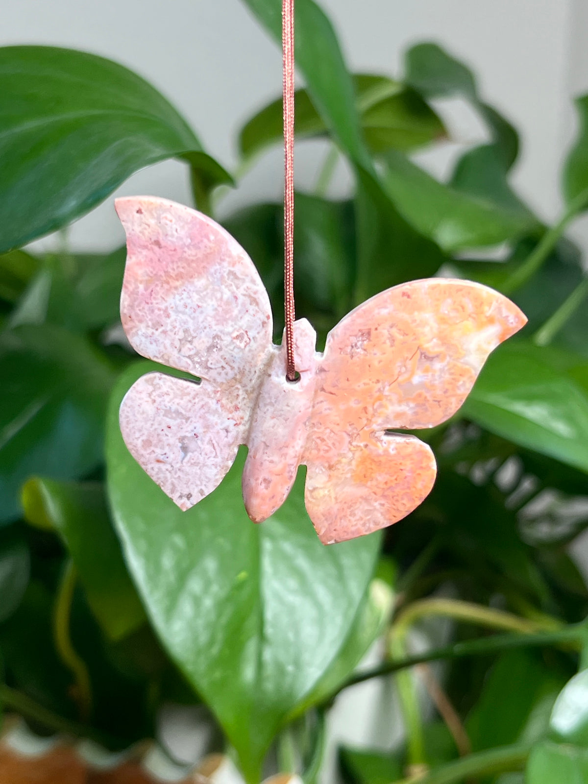 Carnelian Ornament Butterfly: RF