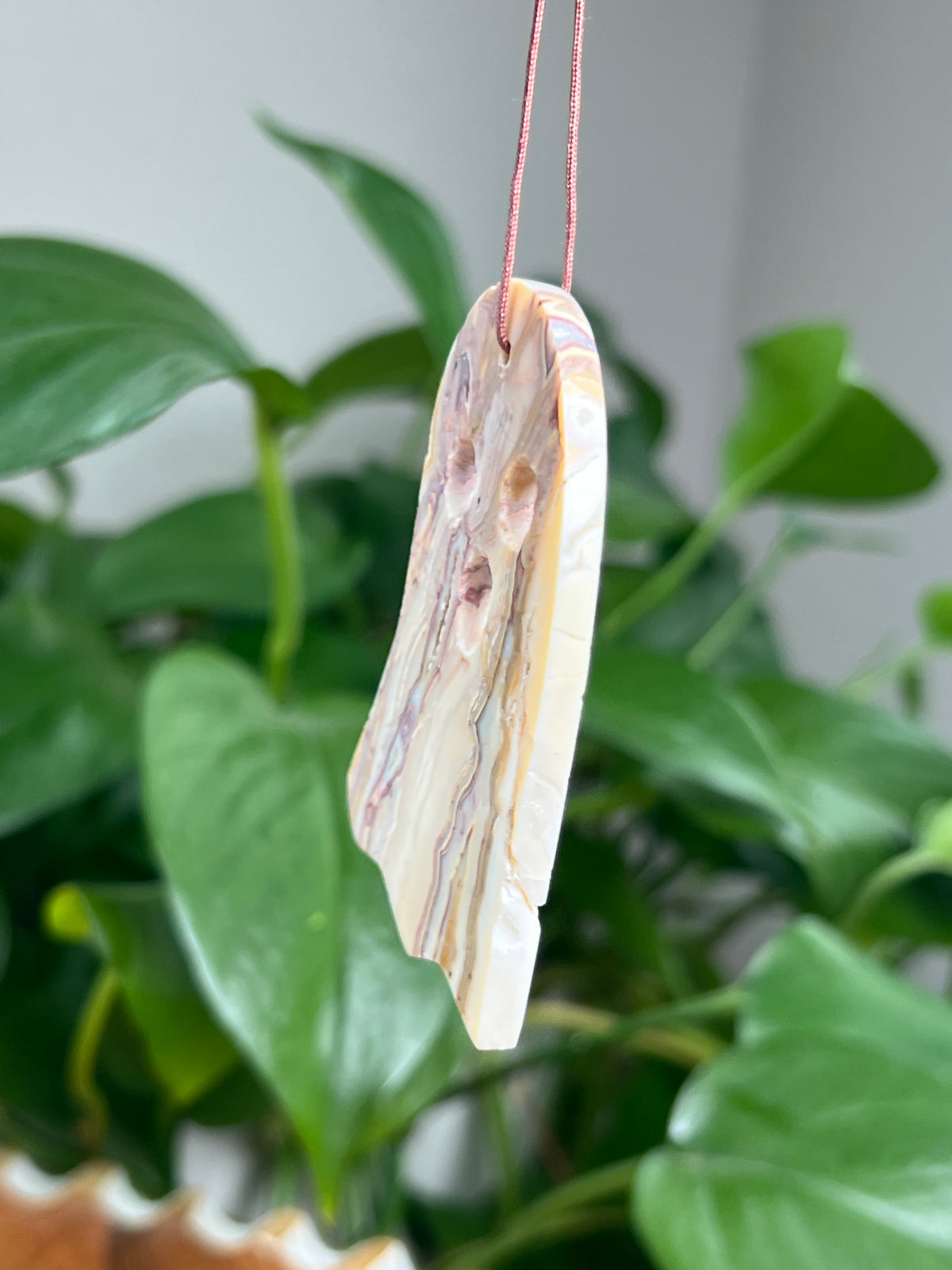 Crazy Lace Agate Ornament Ghost: DS