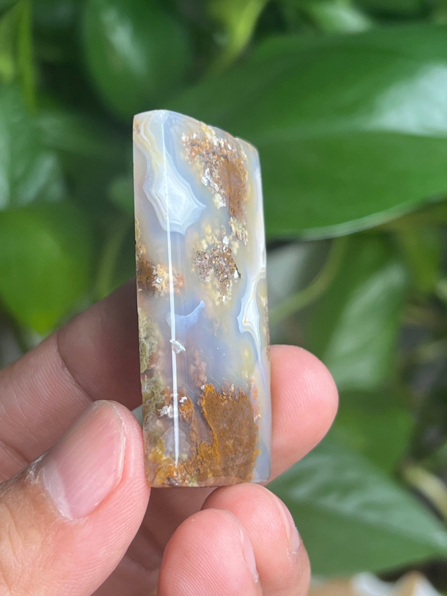 Scenic Moss Agate Cabochon: BB