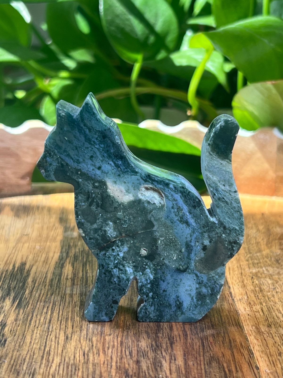 Blue Green Jasper Cat: CK