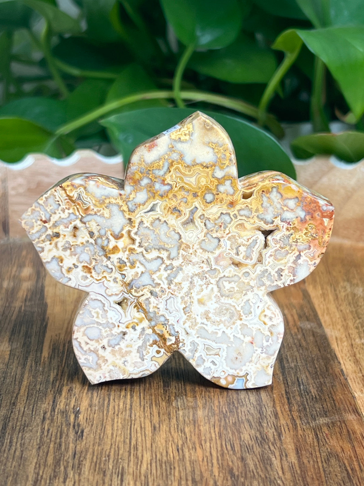 Crazy Lace Agate Flower: Ci