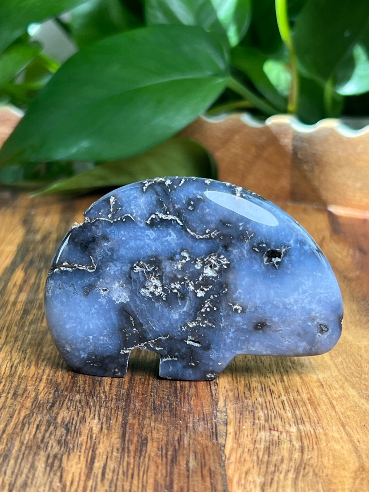 Blue Plume Agate Bear: DC