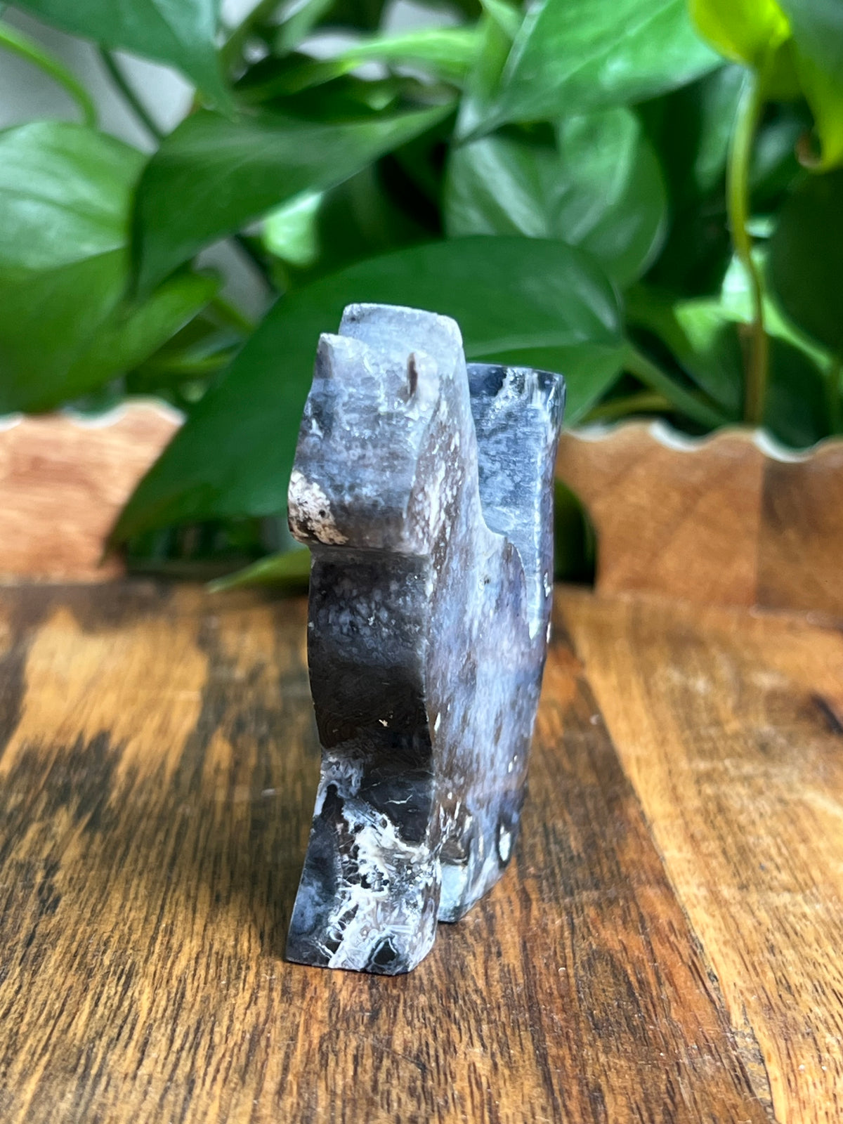 Blue Plume Agate Cat: LF