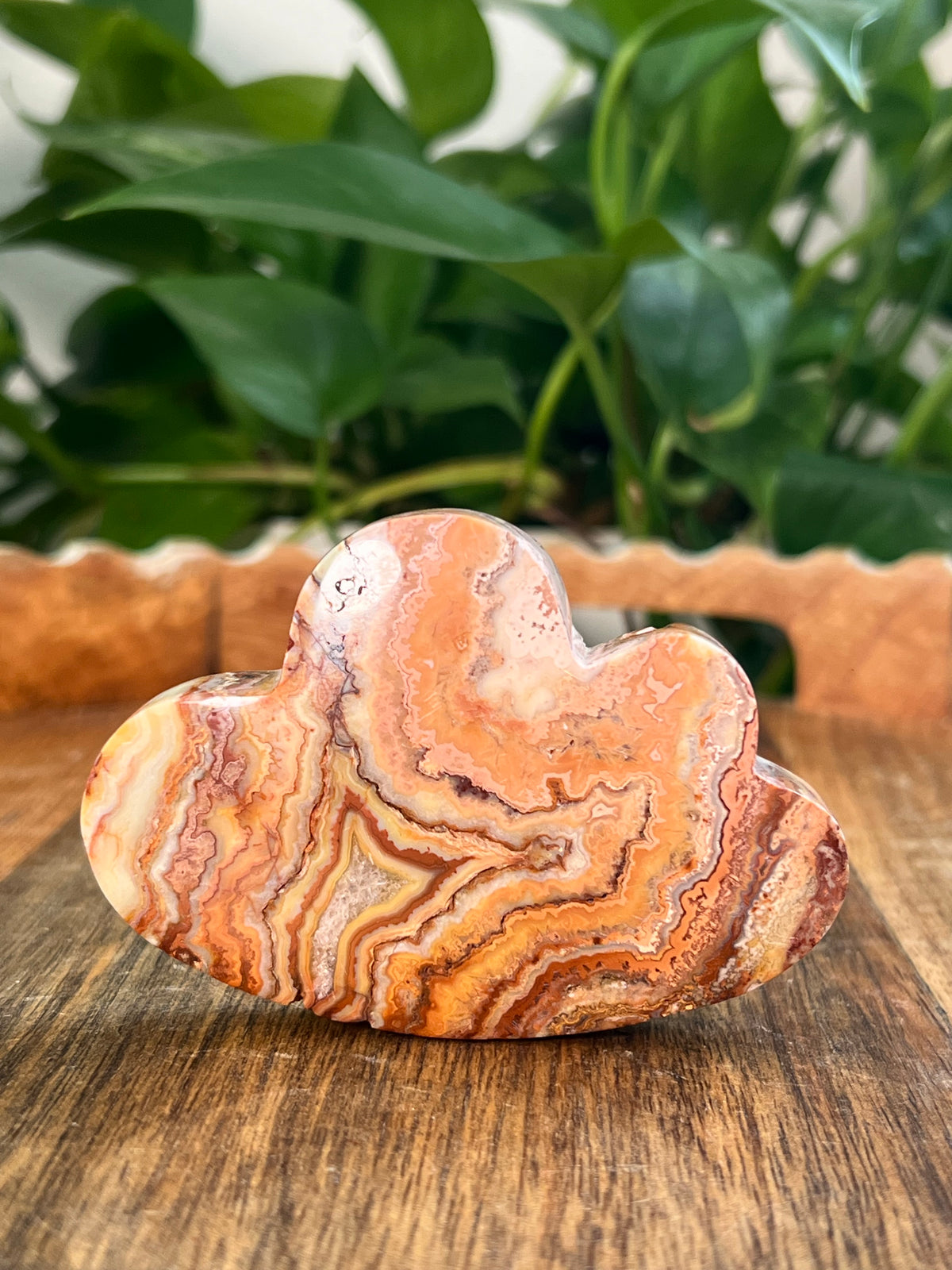 Crazy Lace Agate Self Standing Clouds