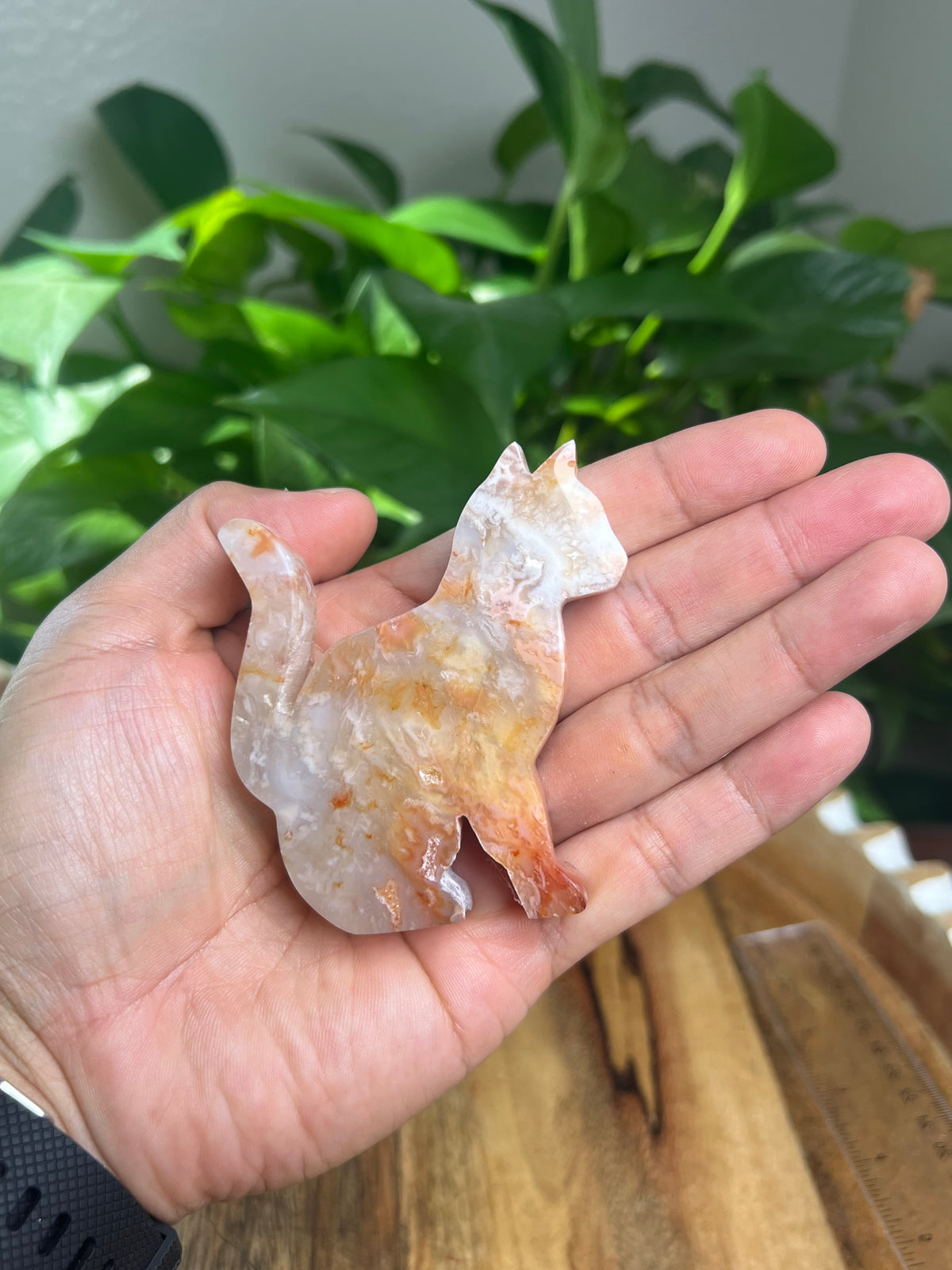 Carnelian Cat: PE