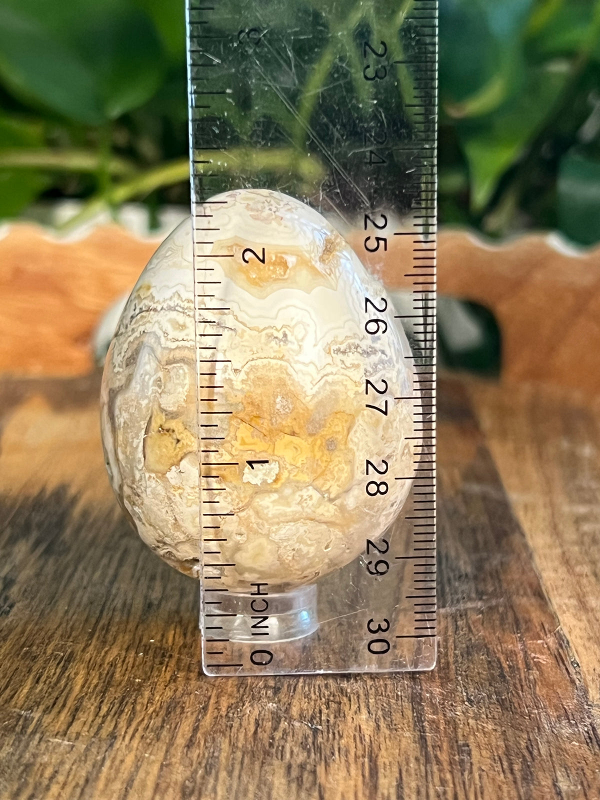 Crazy Lace Agate Egg: SA